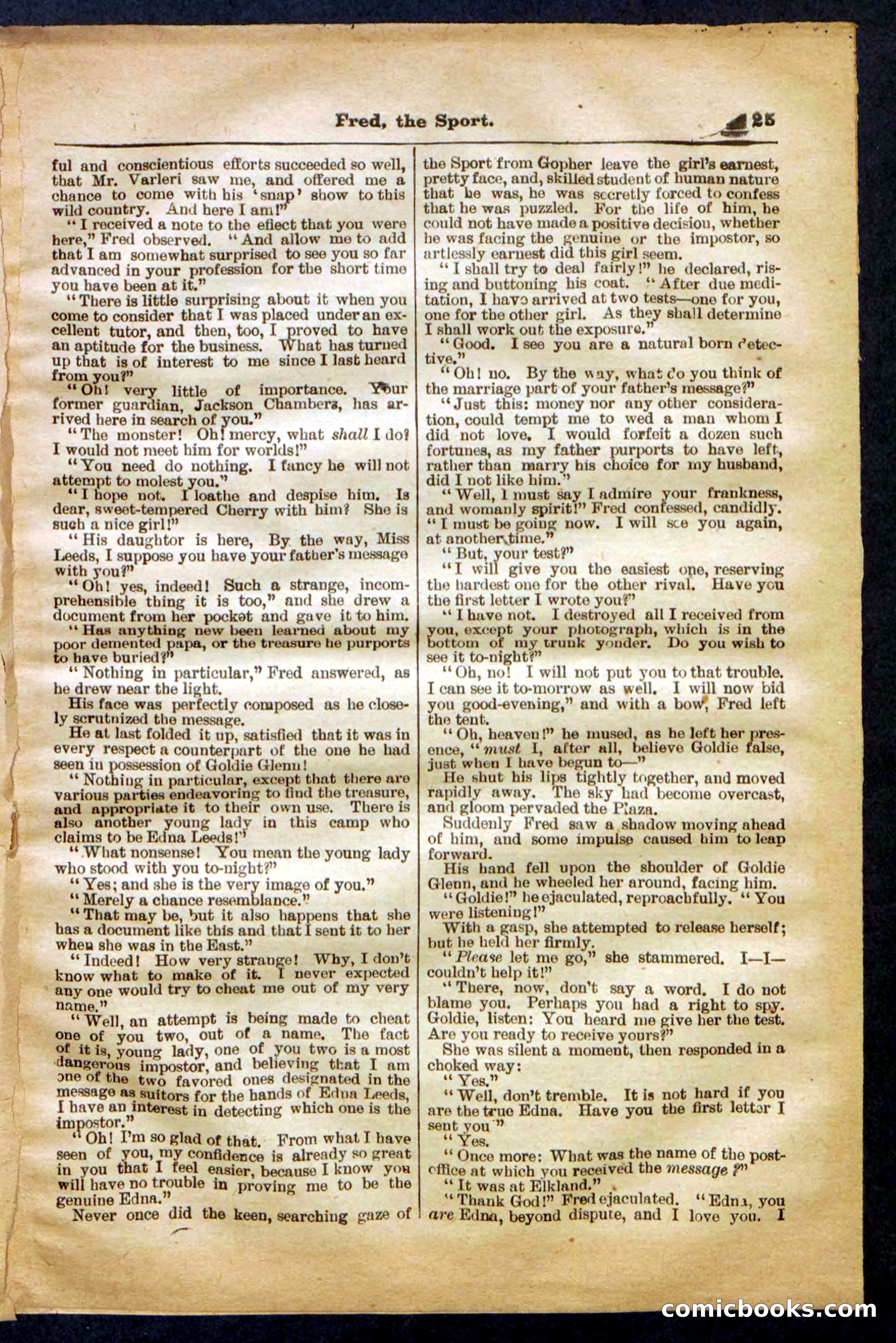 Beadle's Pocket Library No. 336 — page 25 of 32