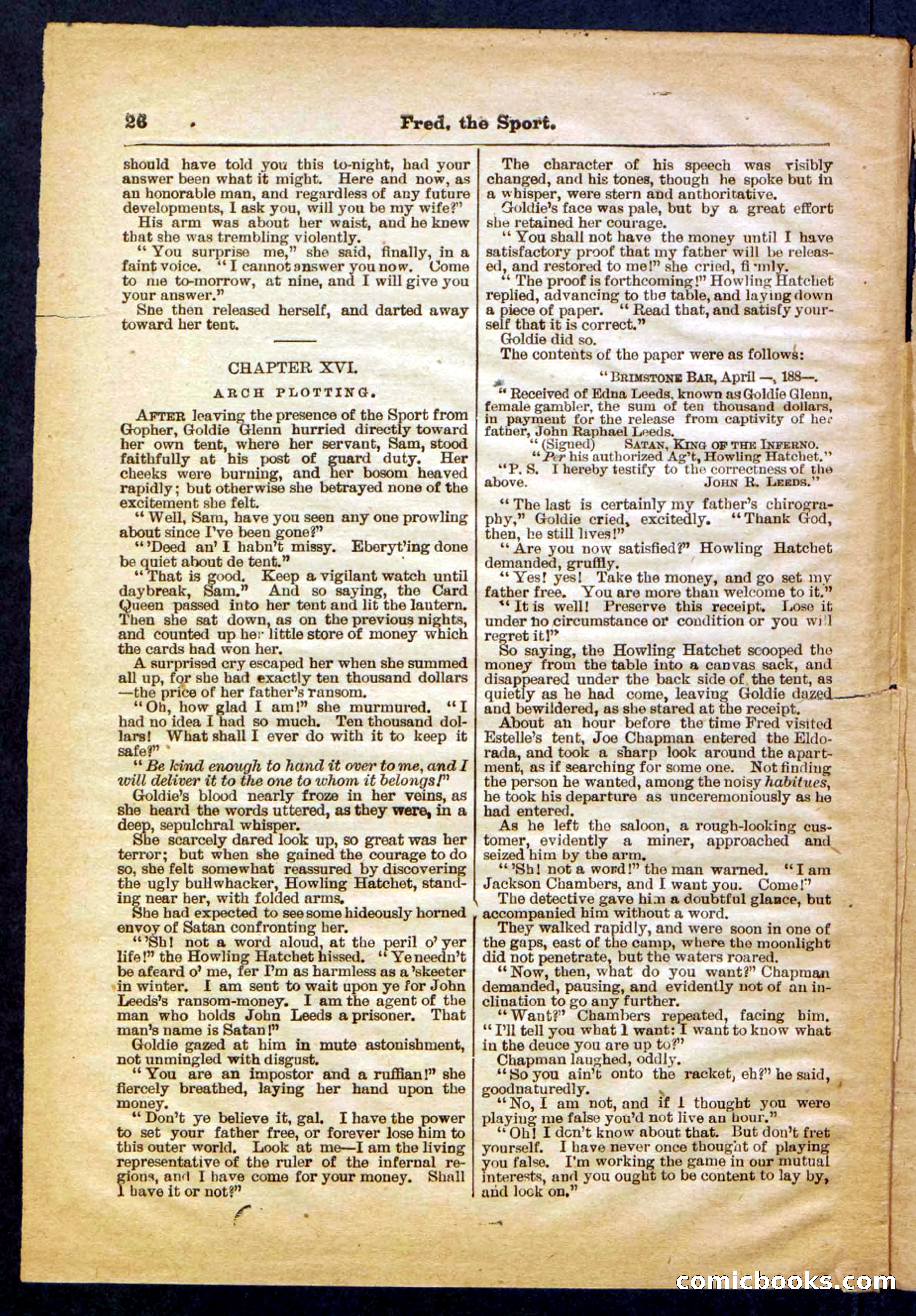 Beadle's Pocket Library No. 336 — page 26 of 32