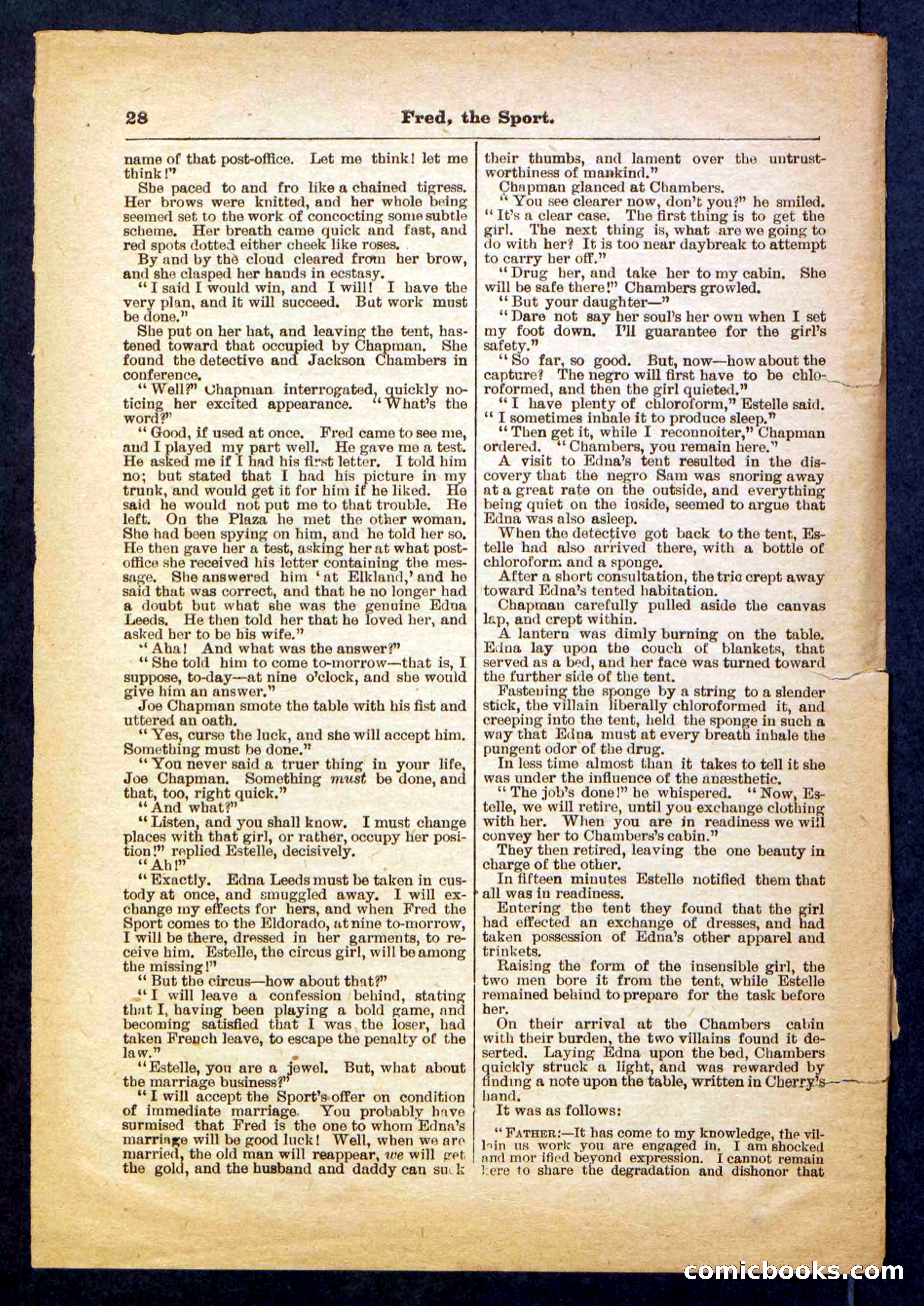 Beadle's Pocket Library No. 336 — page 28 of 32