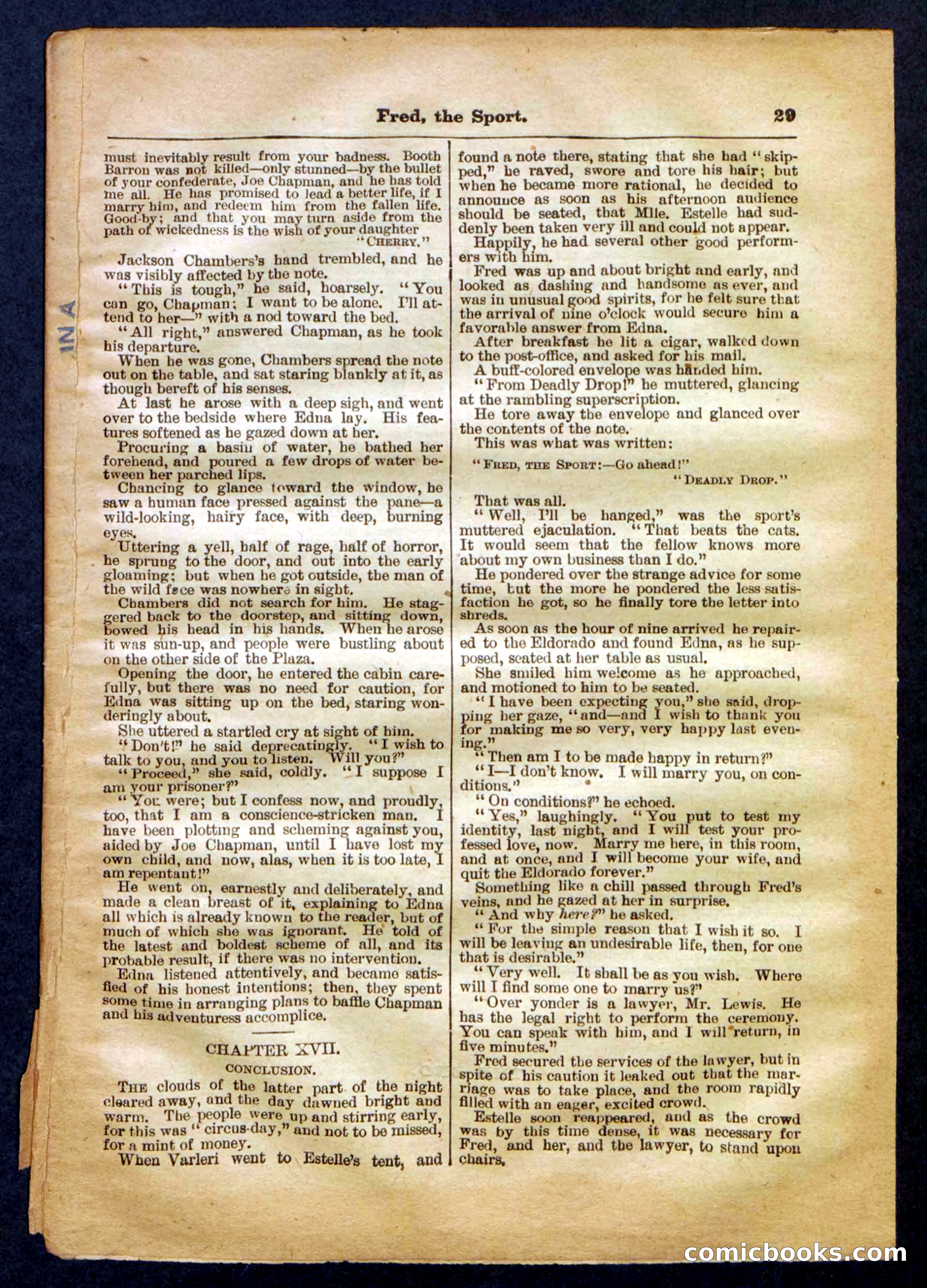 Beadle's Pocket Library No. 336 — page 29 of 32