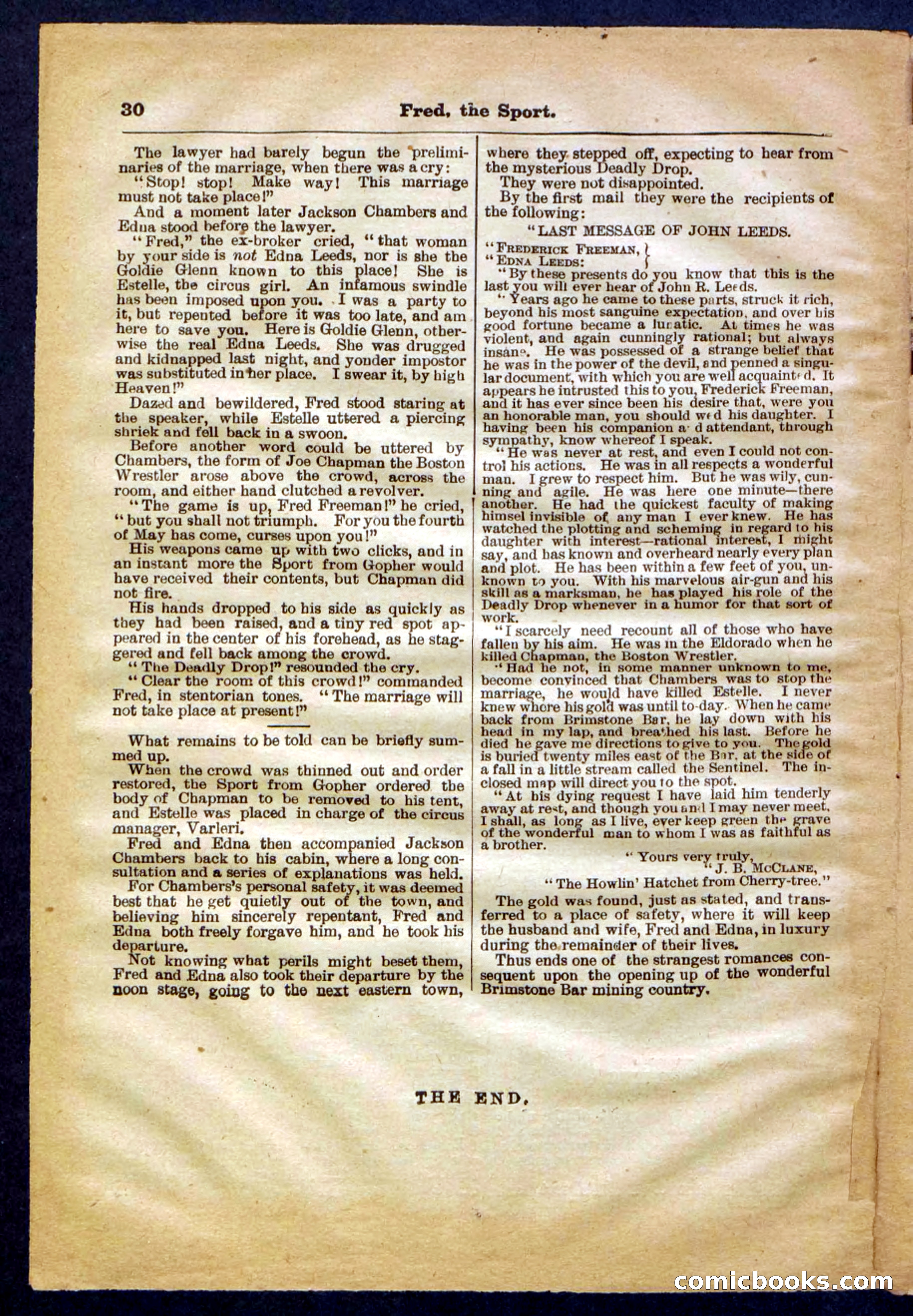 Beadle's Pocket Library No. 336 — page 30 of 32