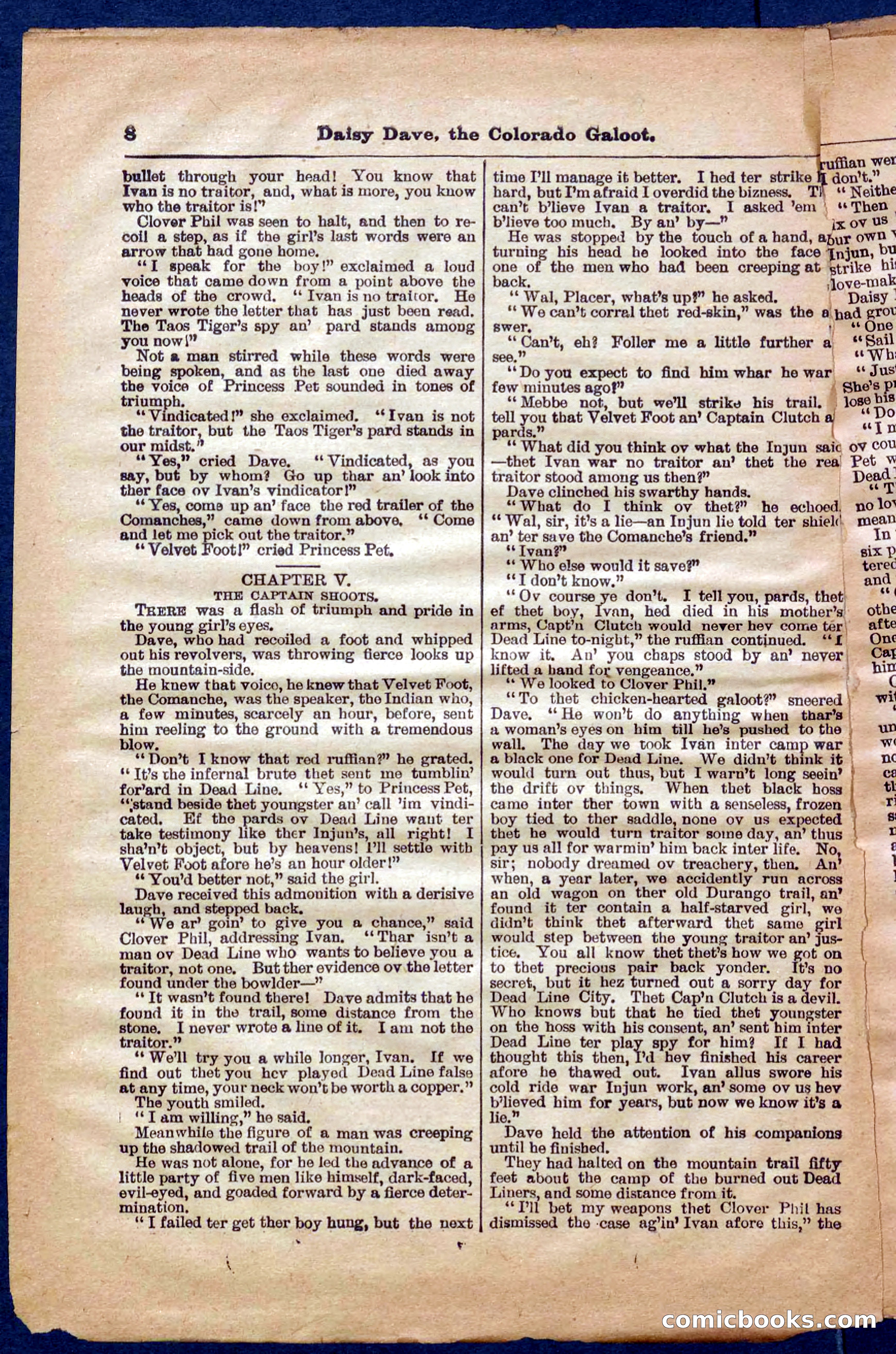 Beadle's Pocket Library No. 337 — page 8 of 32
