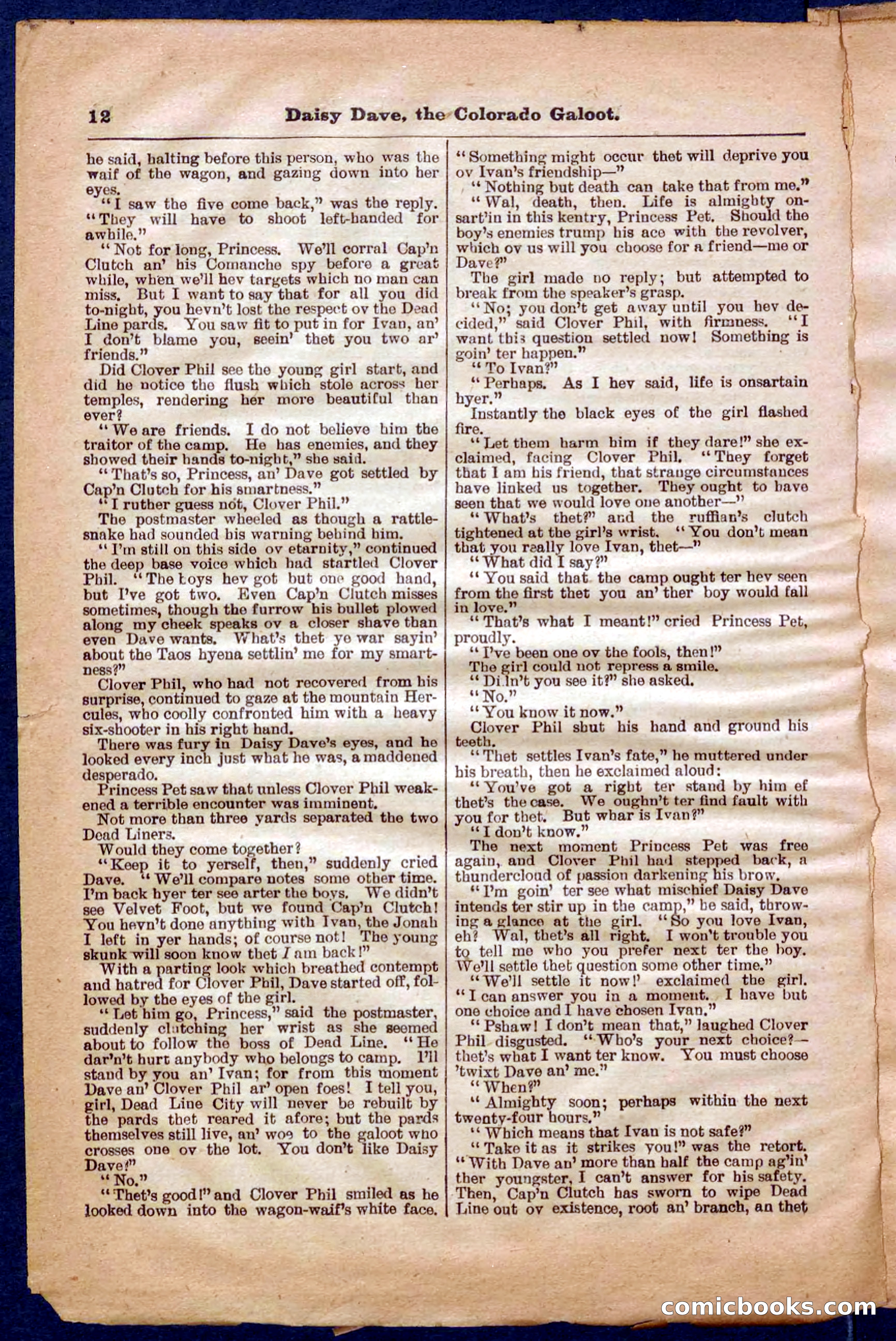 Beadle's Pocket Library No. 337 — page 12 of 32