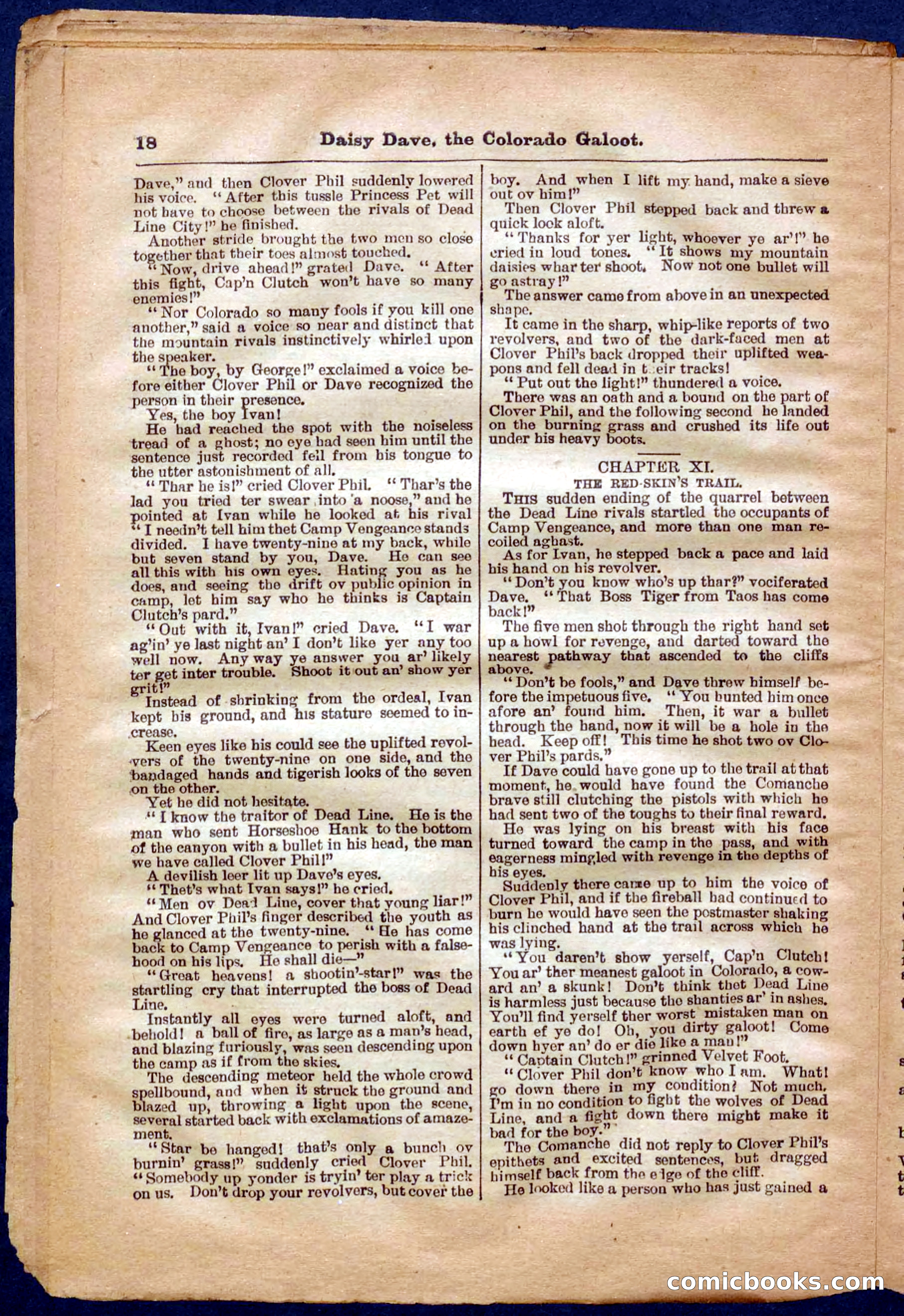 Beadle's Pocket Library No. 337 — page 18 of 32