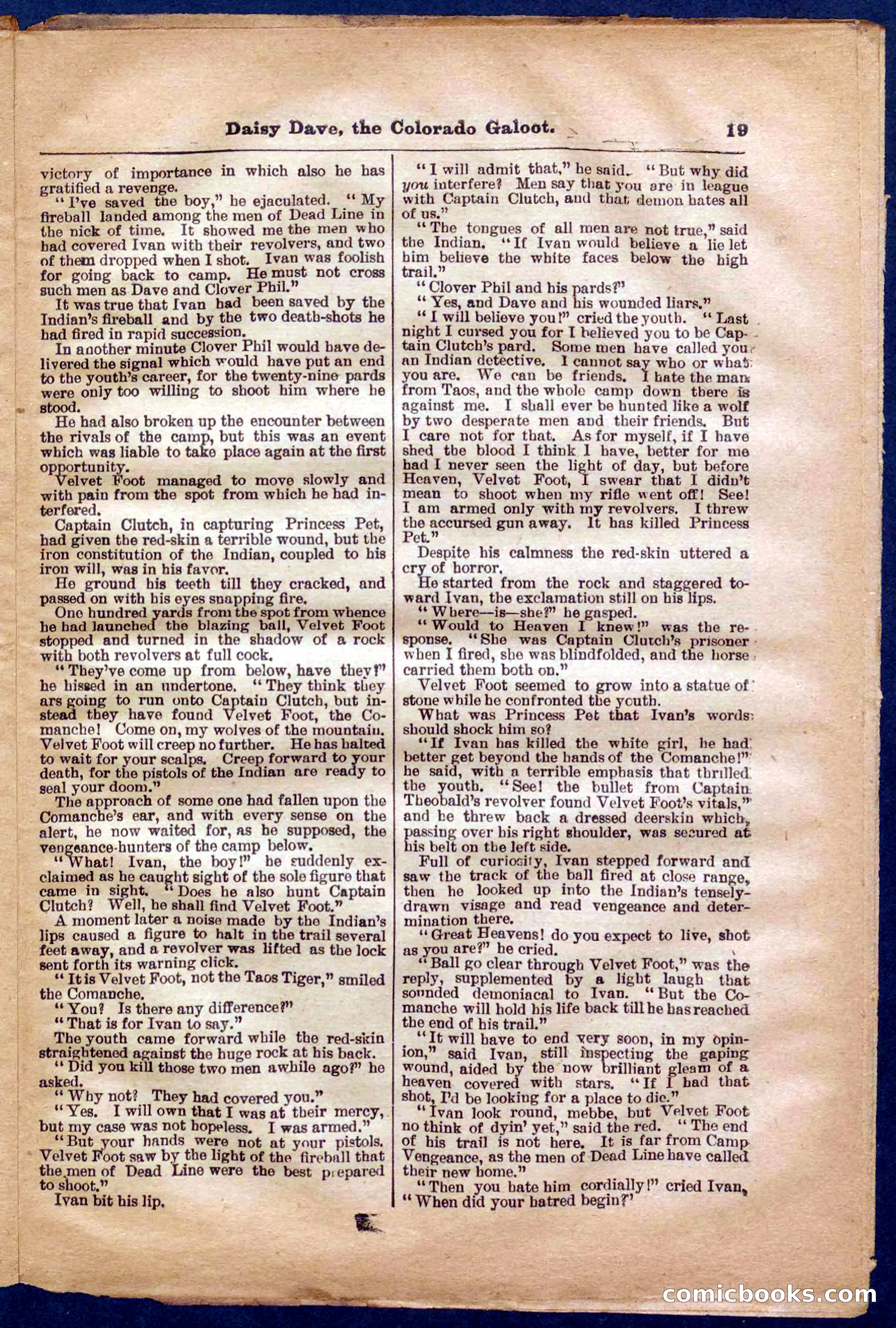 Beadle's Pocket Library No. 337 — page 19 of 32