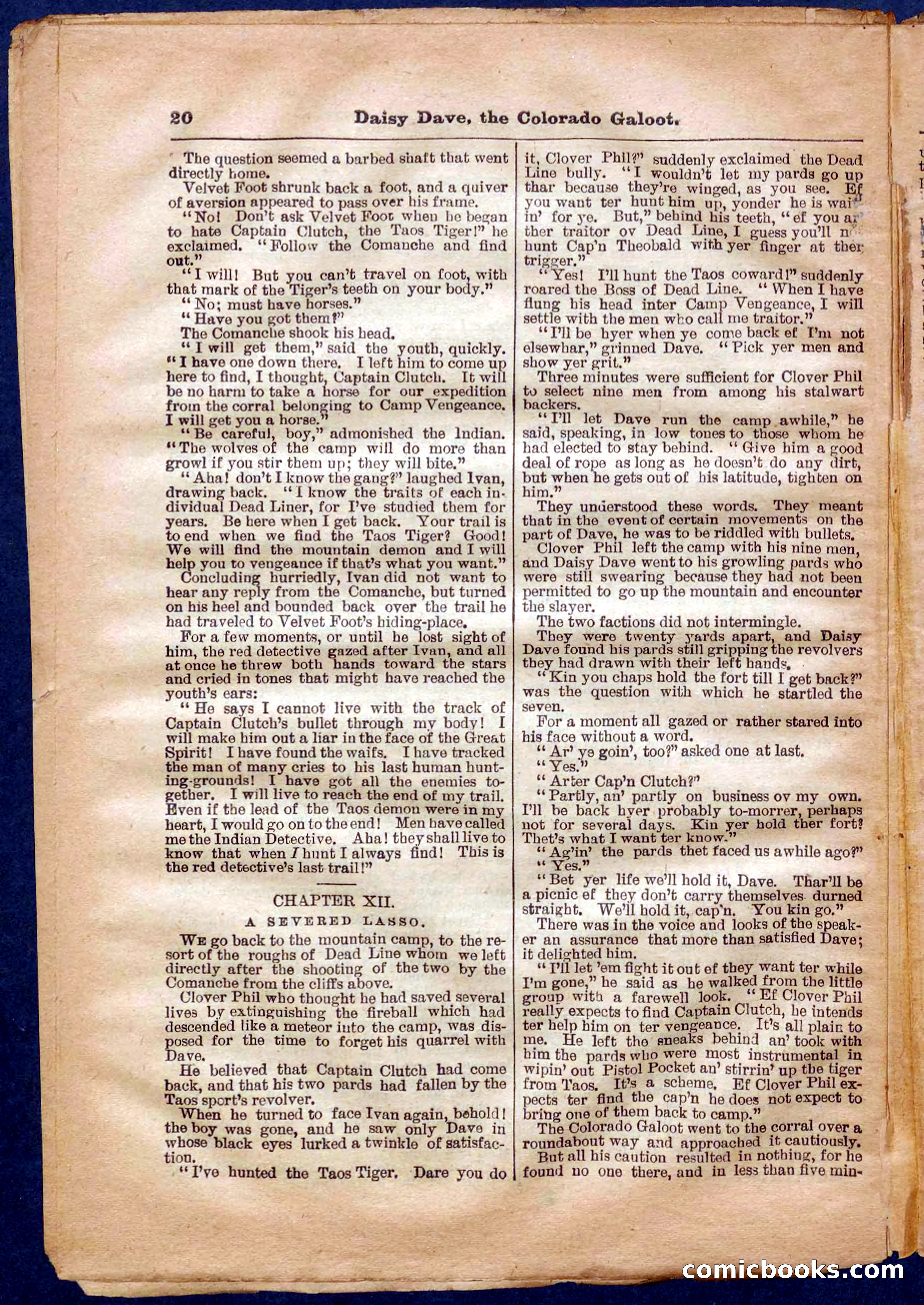 Beadle's Pocket Library No. 337 — page 20 of 32