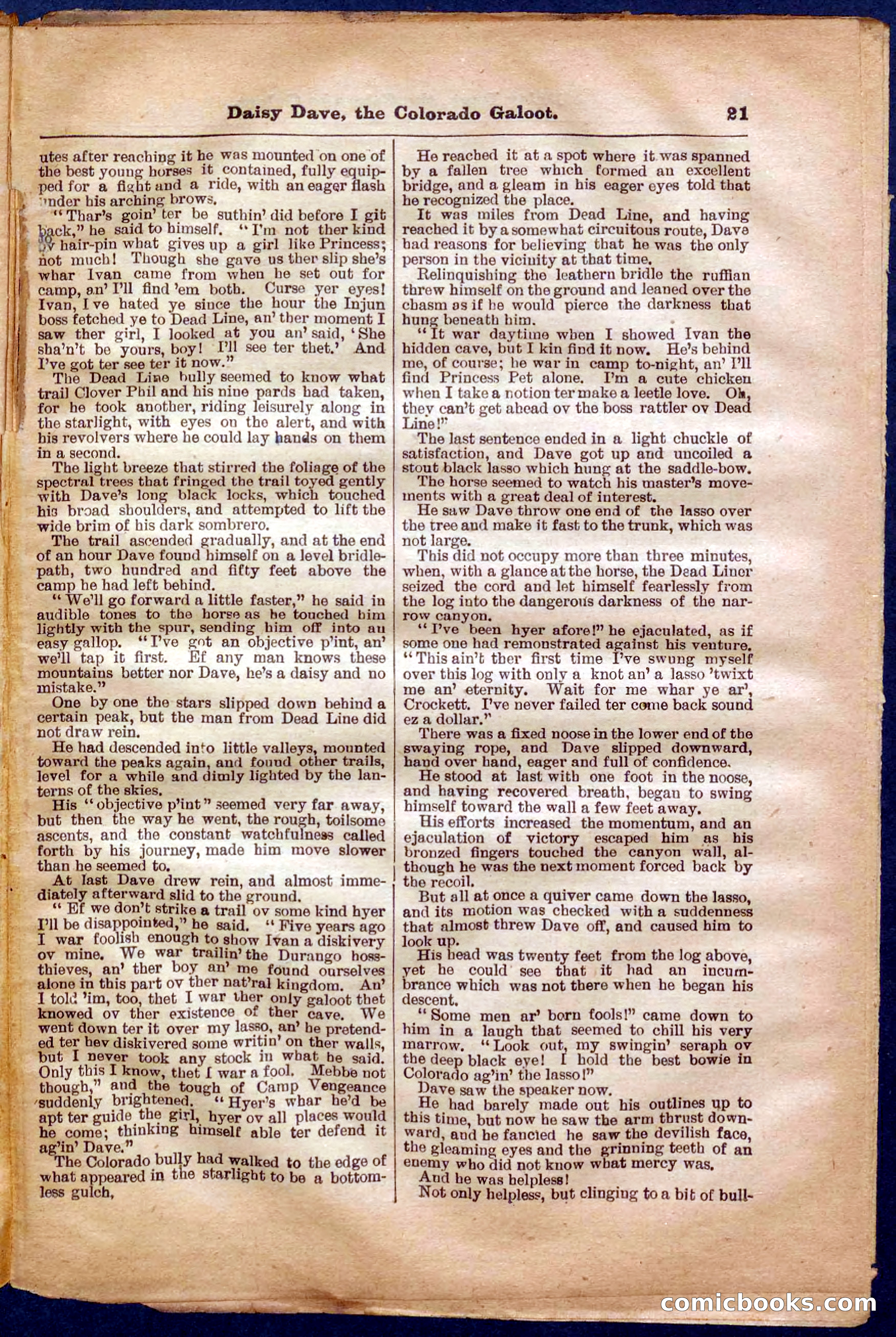 Beadle's Pocket Library No. 337 — page 21 of 32
