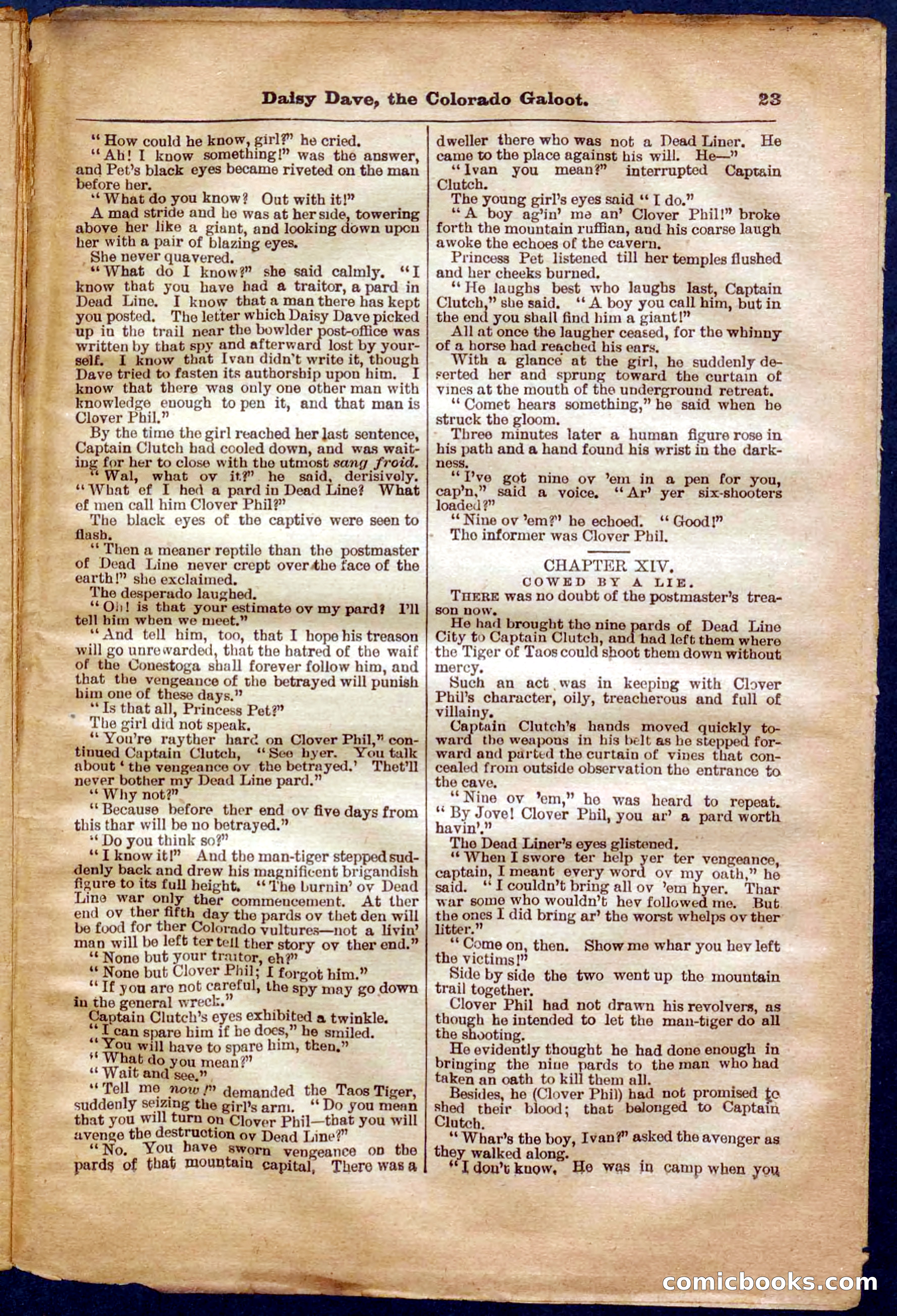 Beadle's Pocket Library No. 337 — page 23 of 32