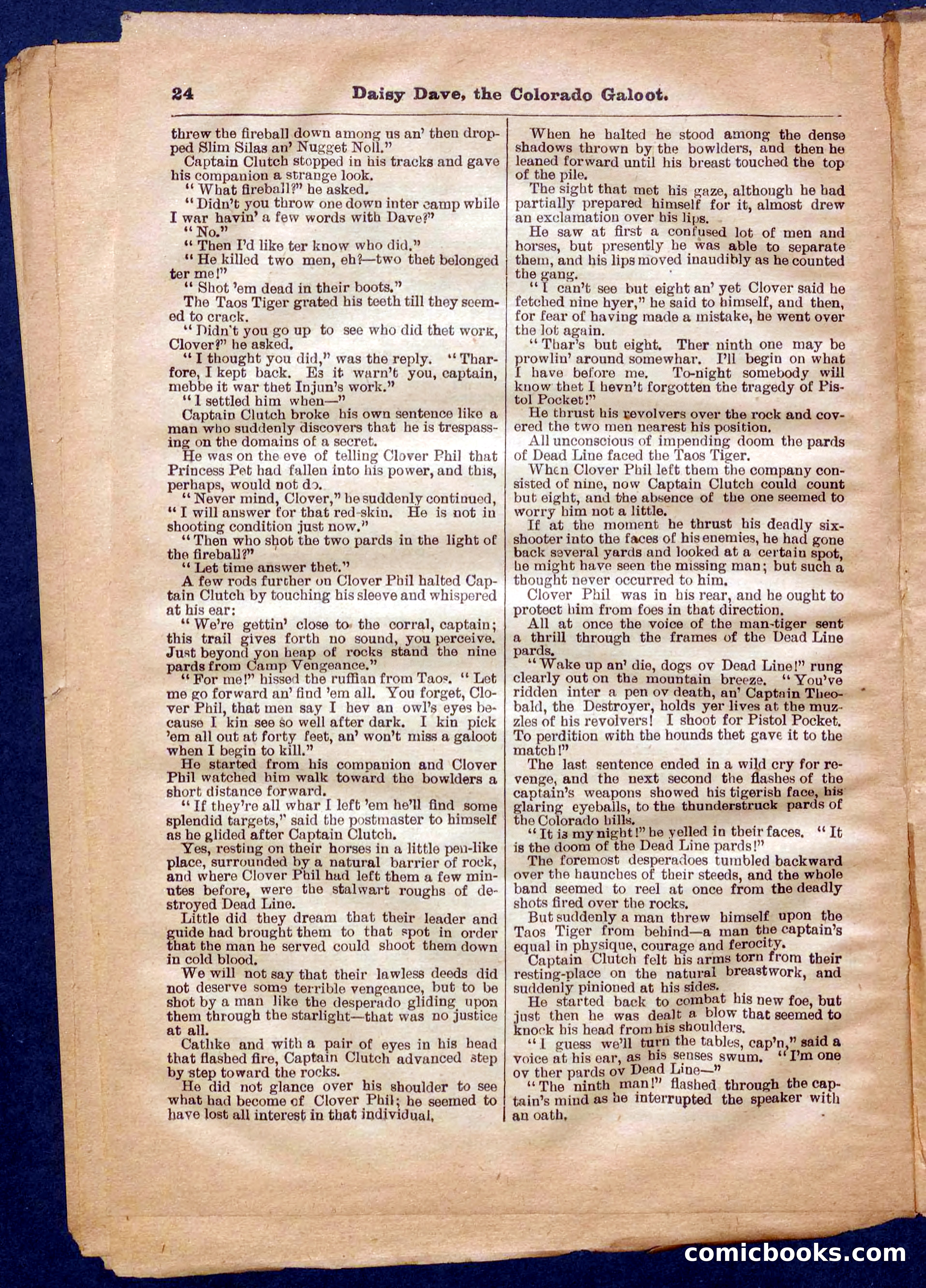 Beadle's Pocket Library No. 337 — page 24 of 32
