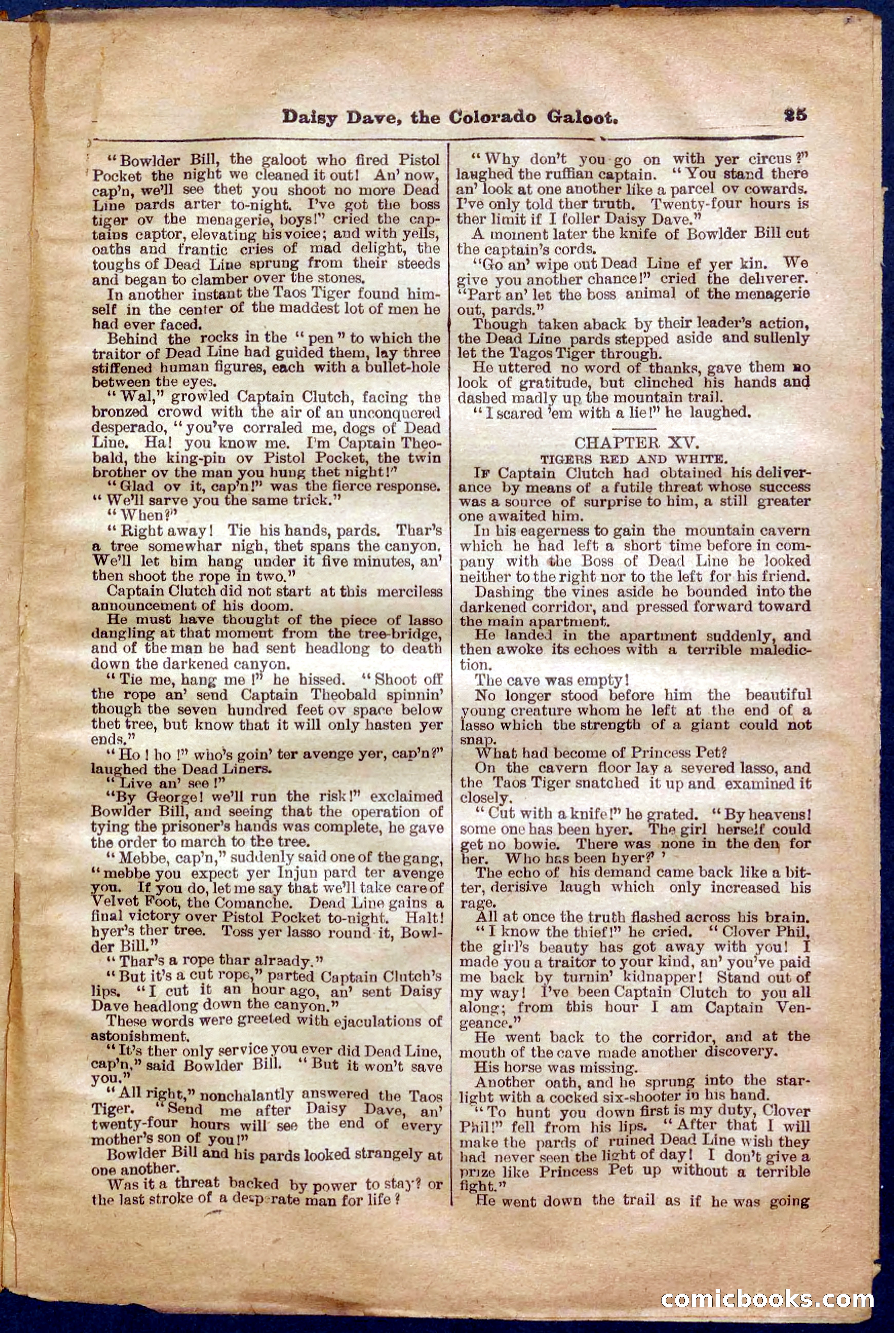 Beadle's Pocket Library No. 337 — page 25 of 32