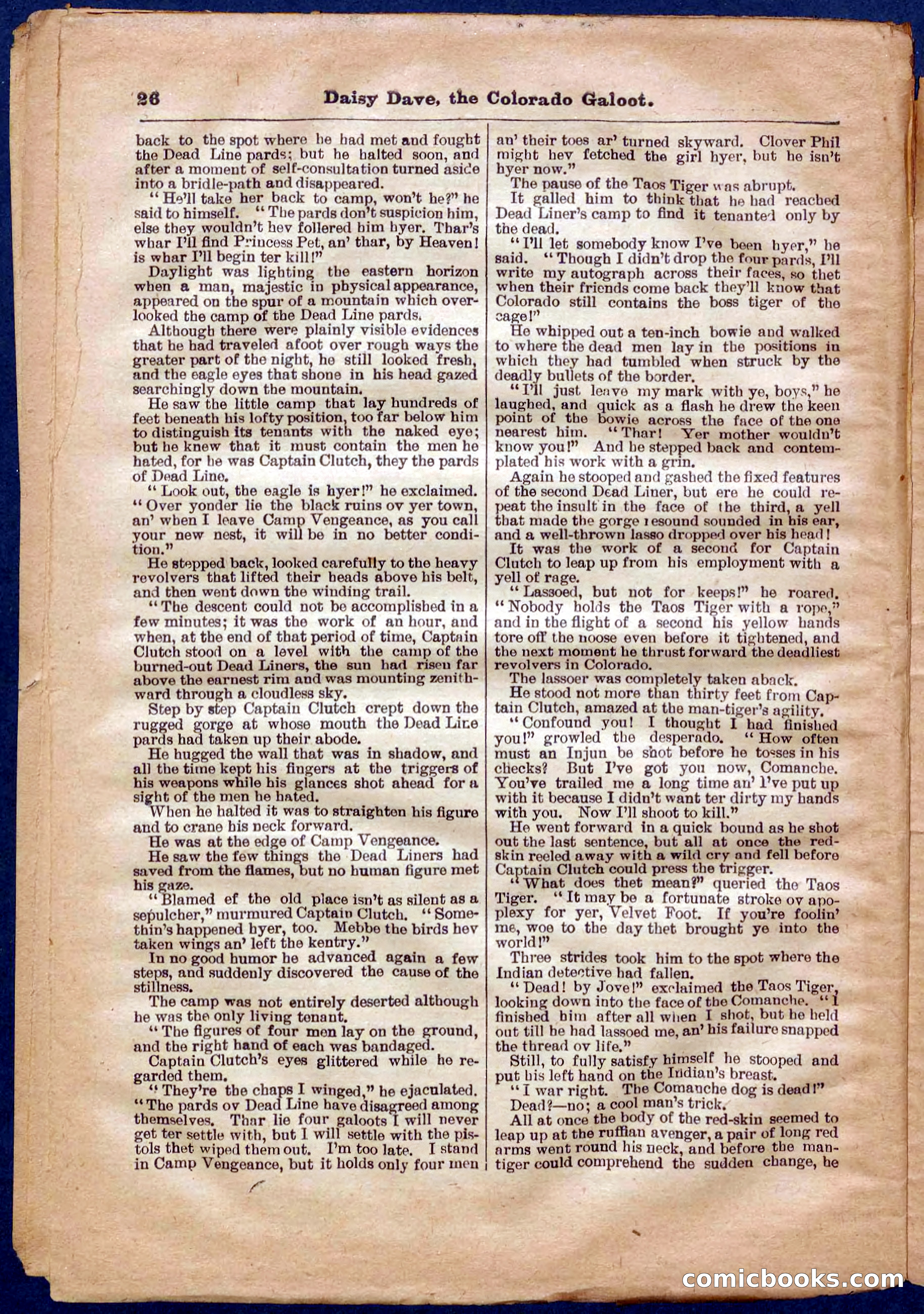 Beadle's Pocket Library No. 337 — page 26 of 32