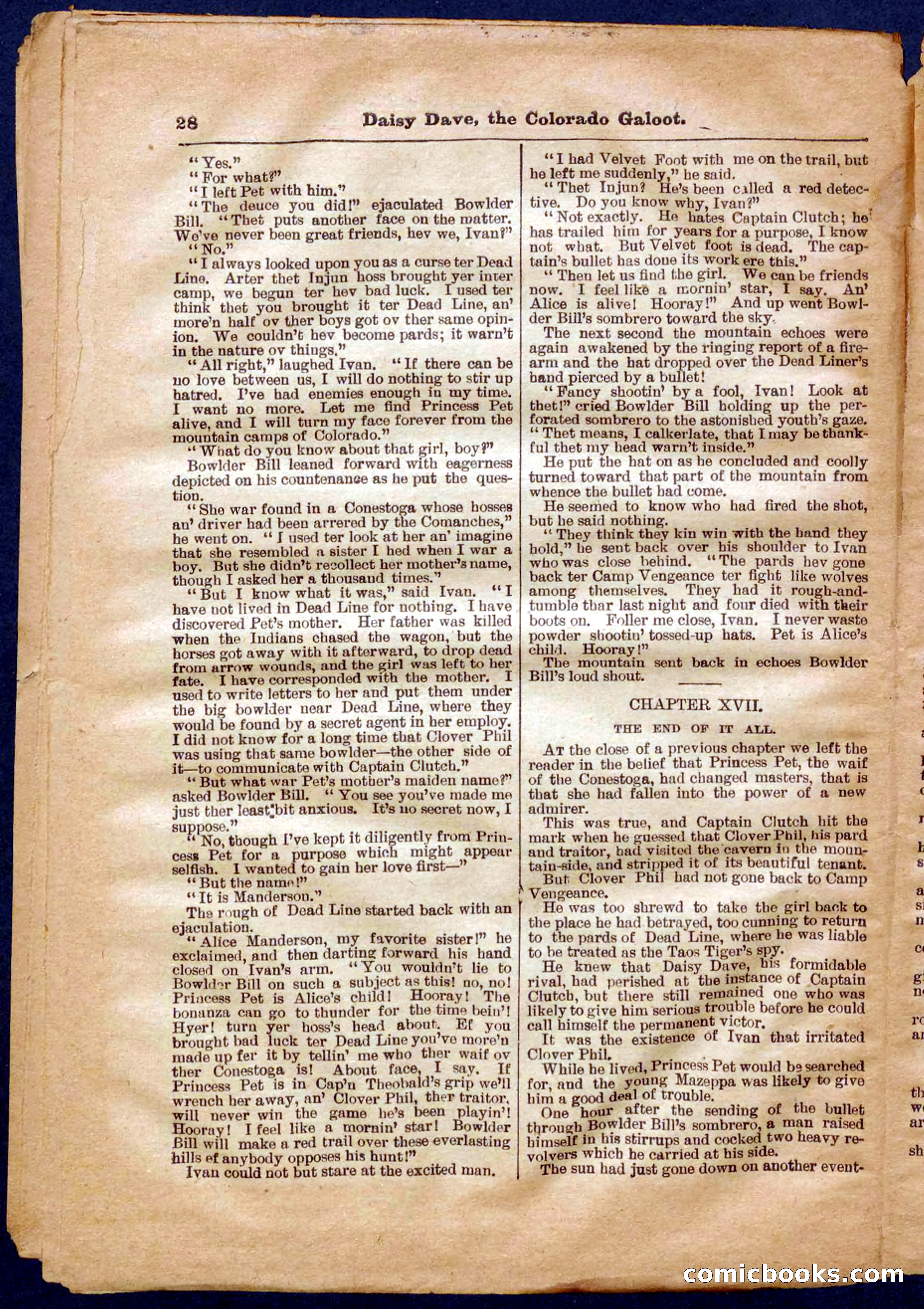 Beadle's Pocket Library No. 337 — page 28 of 32