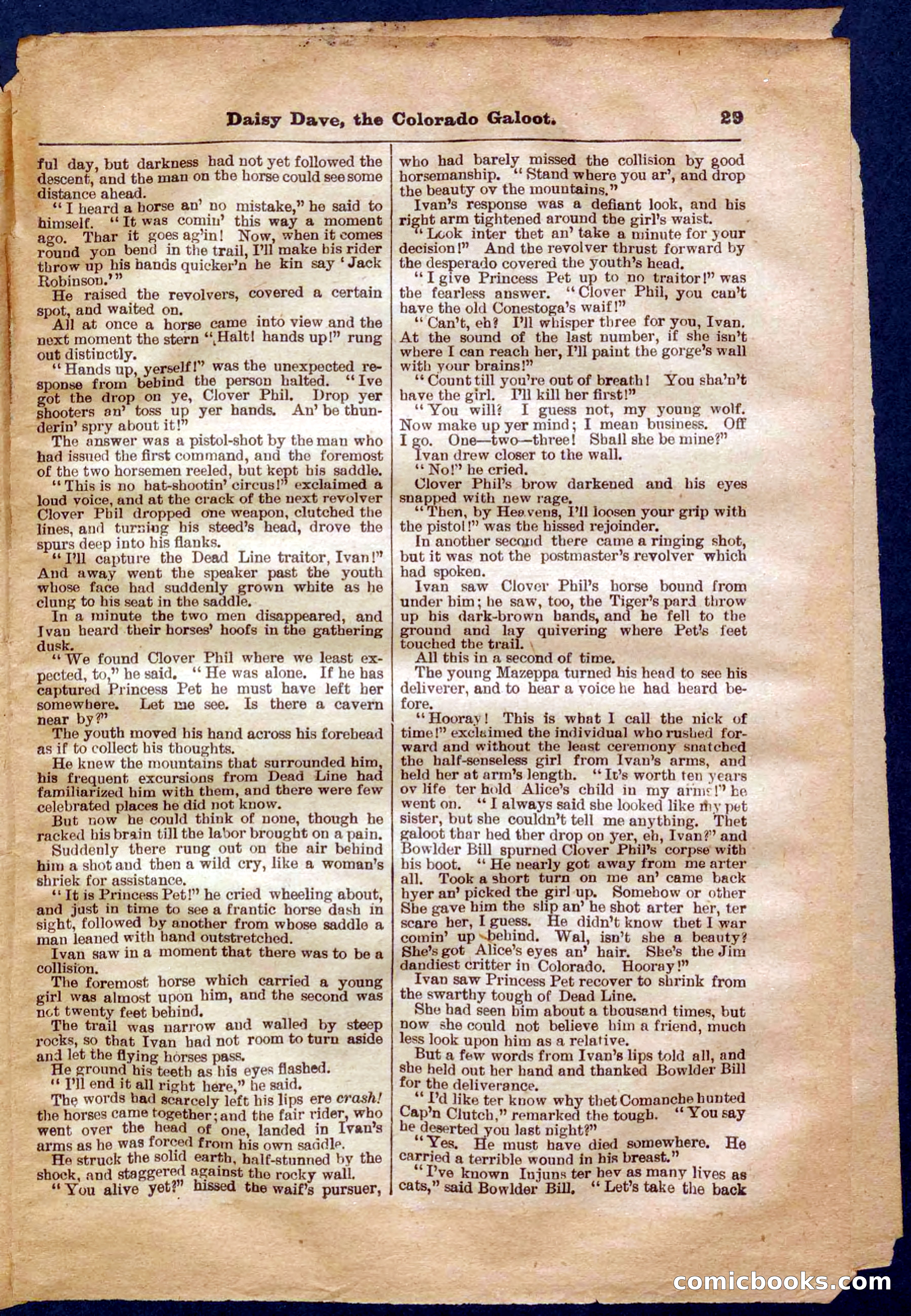 Beadle's Pocket Library No. 337 — page 29 of 32