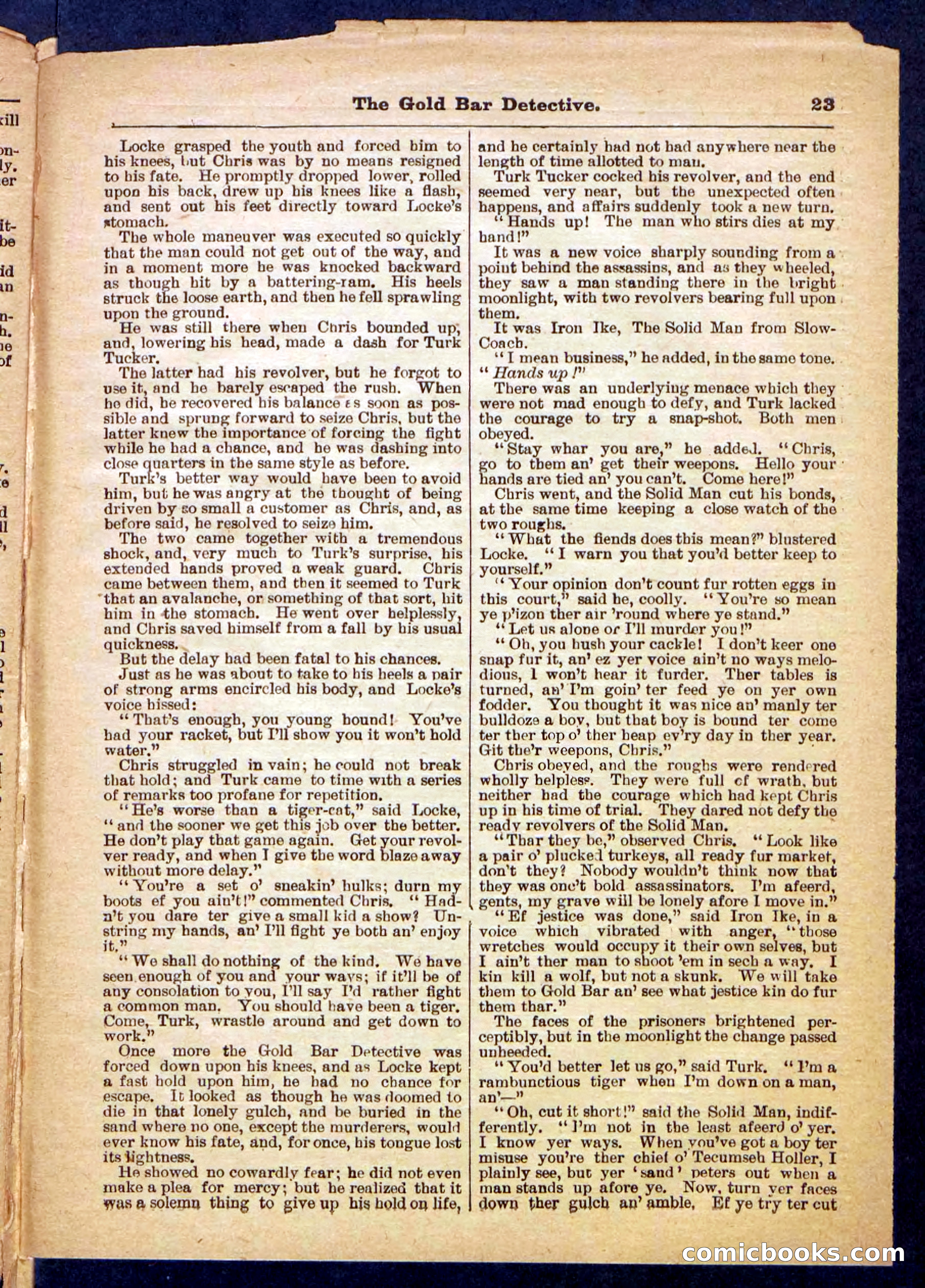 The Gold Bug Detective — page 23 of 32