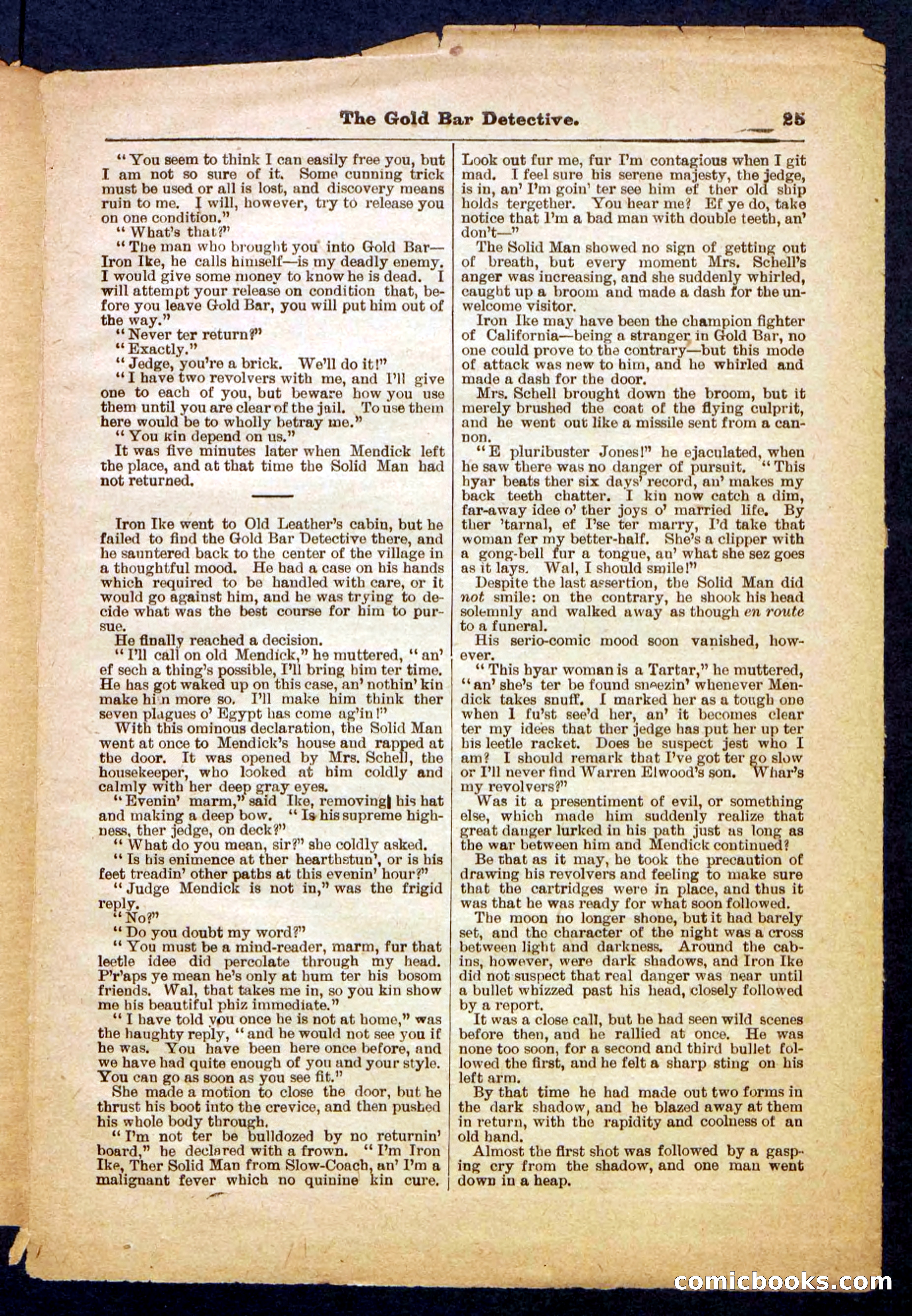 The Gold Bug Detective — page 25 of 32