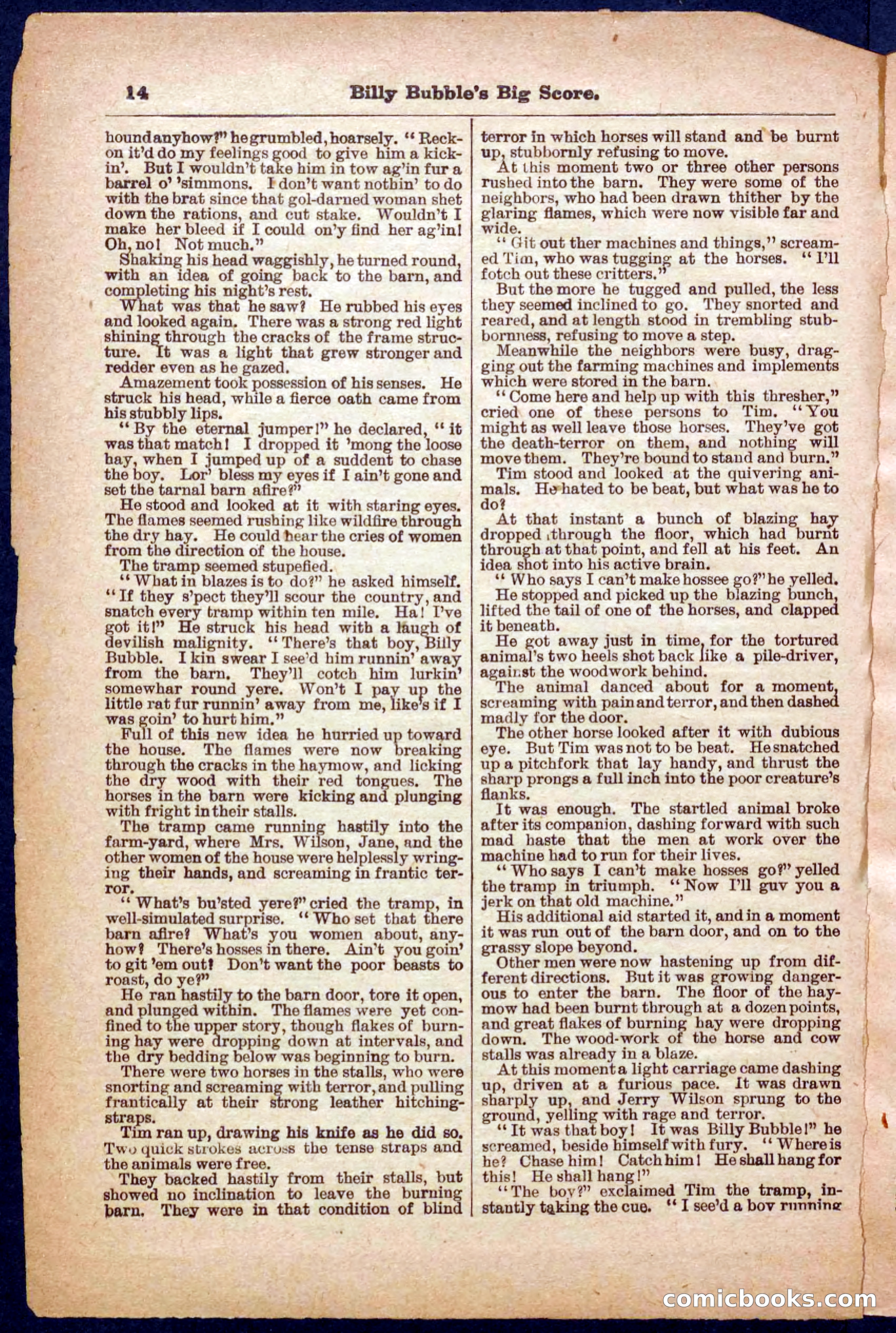 Beadle's Pocket Library No. 340 — page 14 of 32