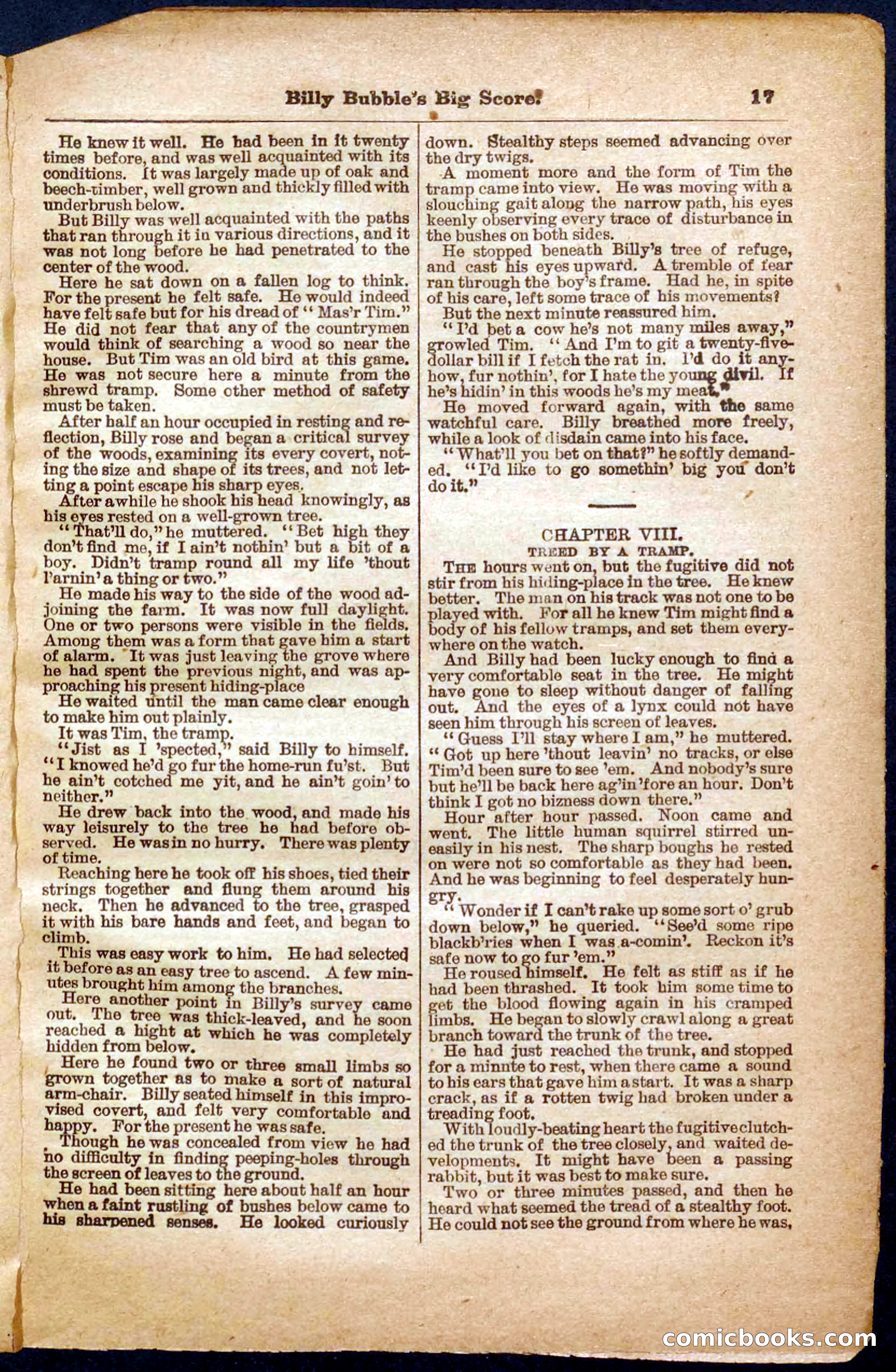 Beadle's Pocket Library No. 340 — page 17 of 32