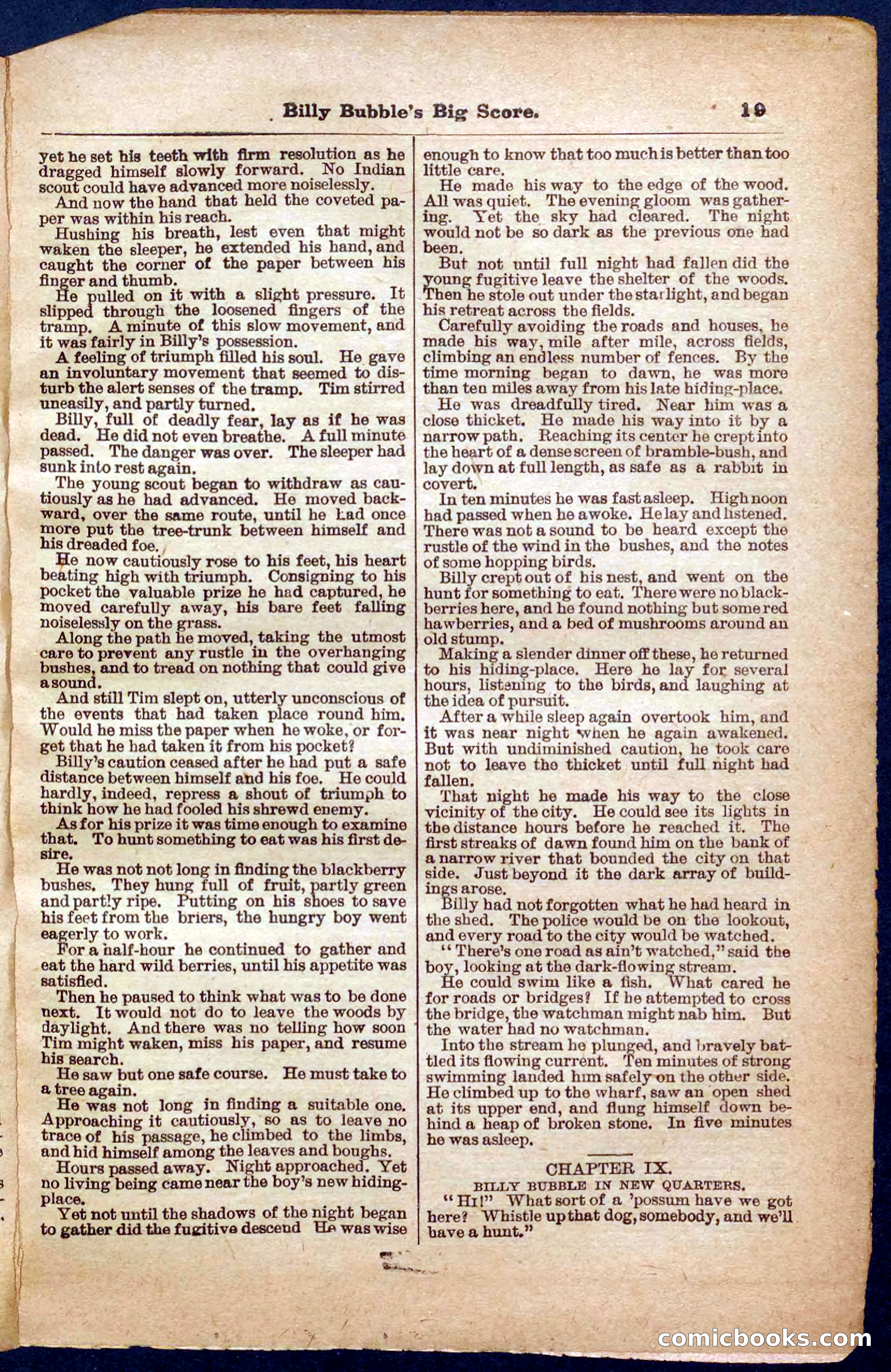 Beadle's Pocket Library No. 340 — page 19 of 32
