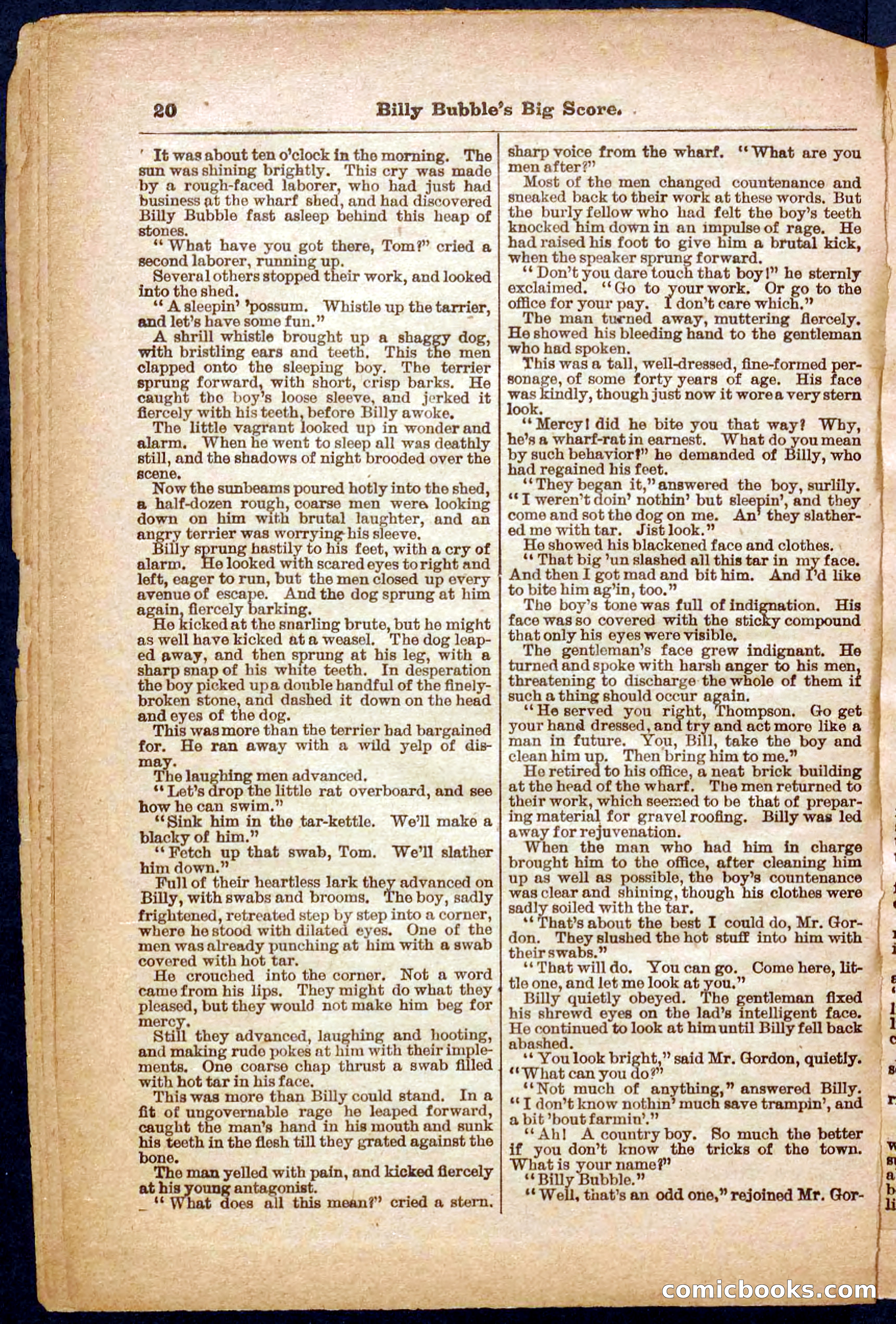 Beadle's Pocket Library No. 340 — page 20 of 32