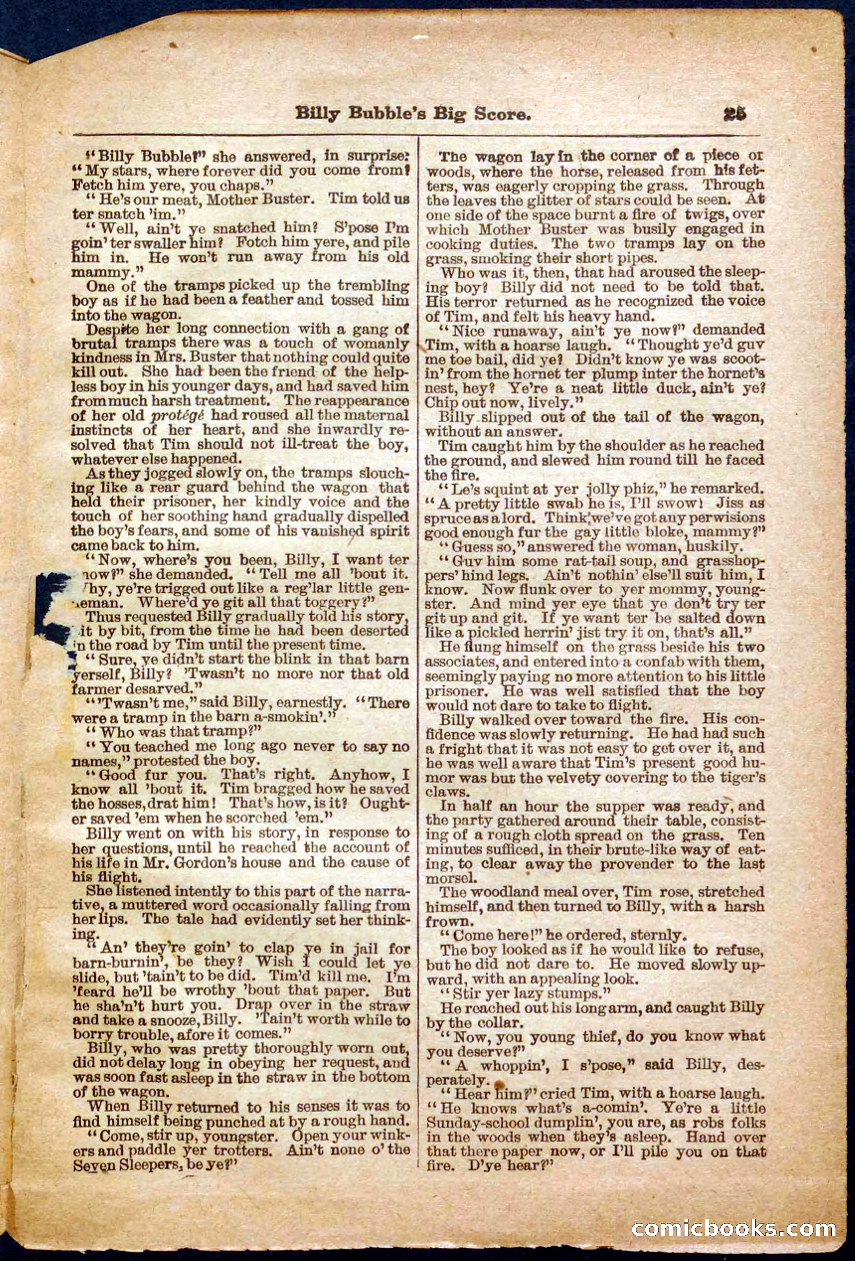 Beadle's Pocket Library No. 340 — page 25 of 32
