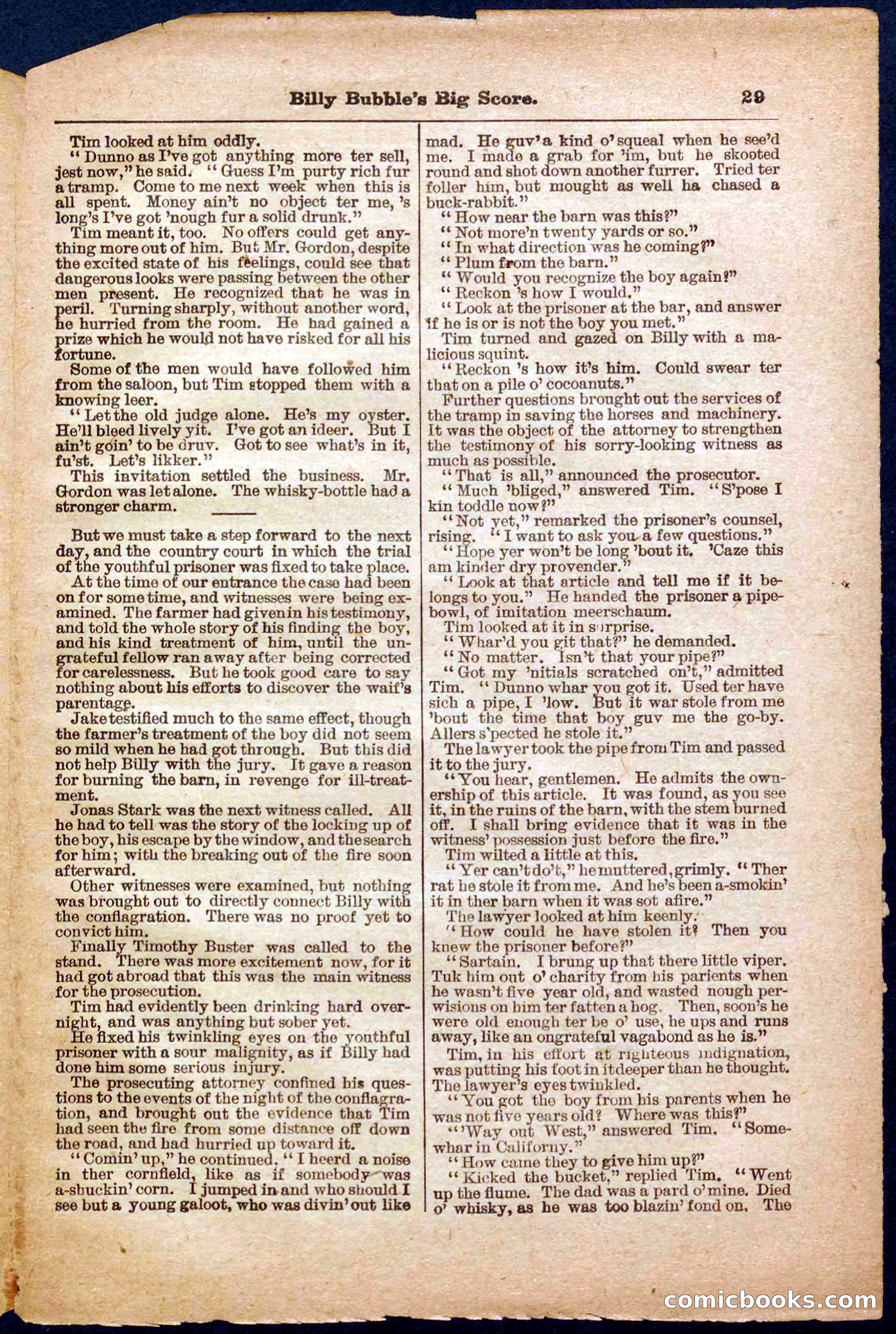 Beadle's Pocket Library No. 340 — page 29 of 32