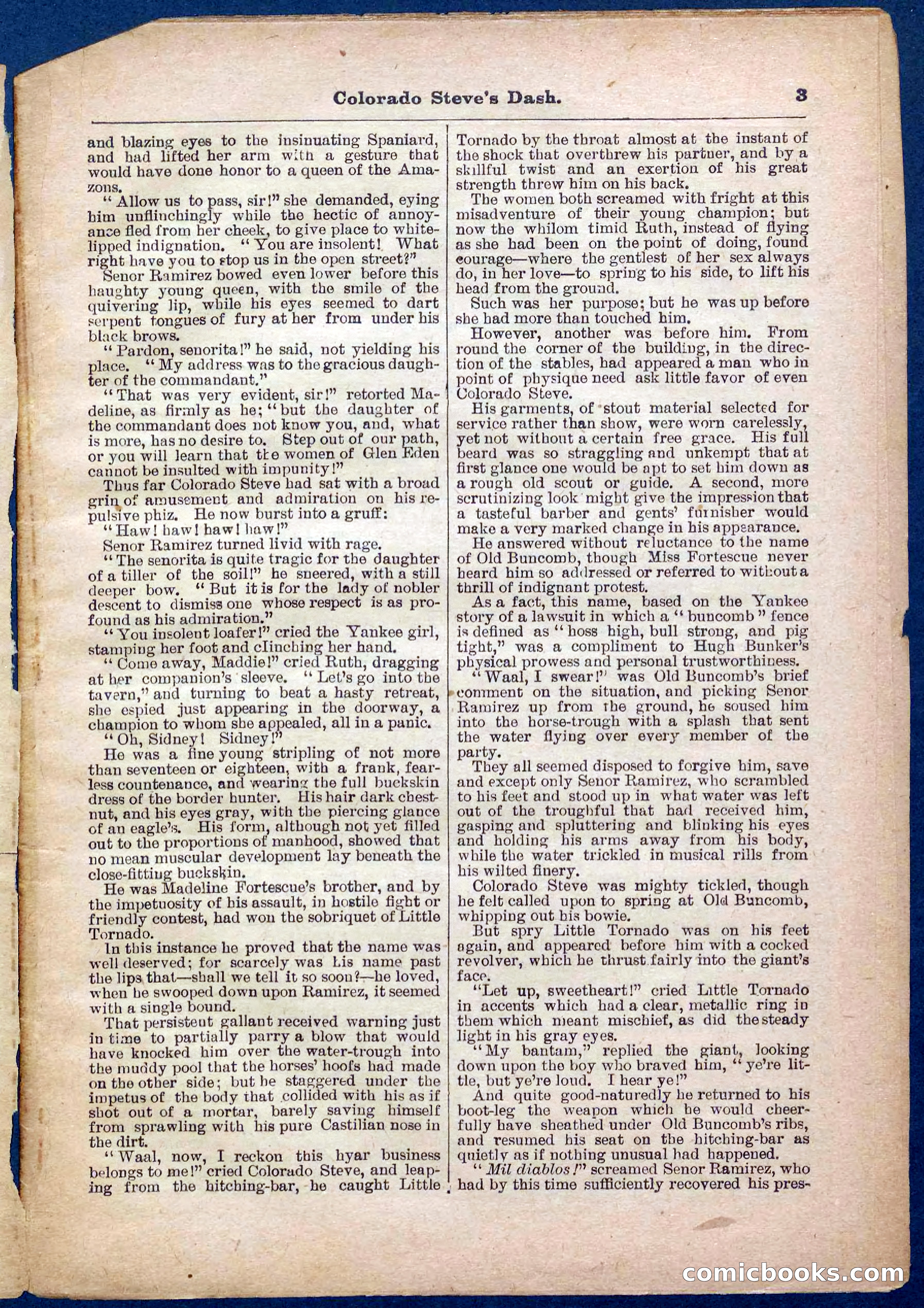 Beadle's Pocket Library No. 341 — page 3 of 32