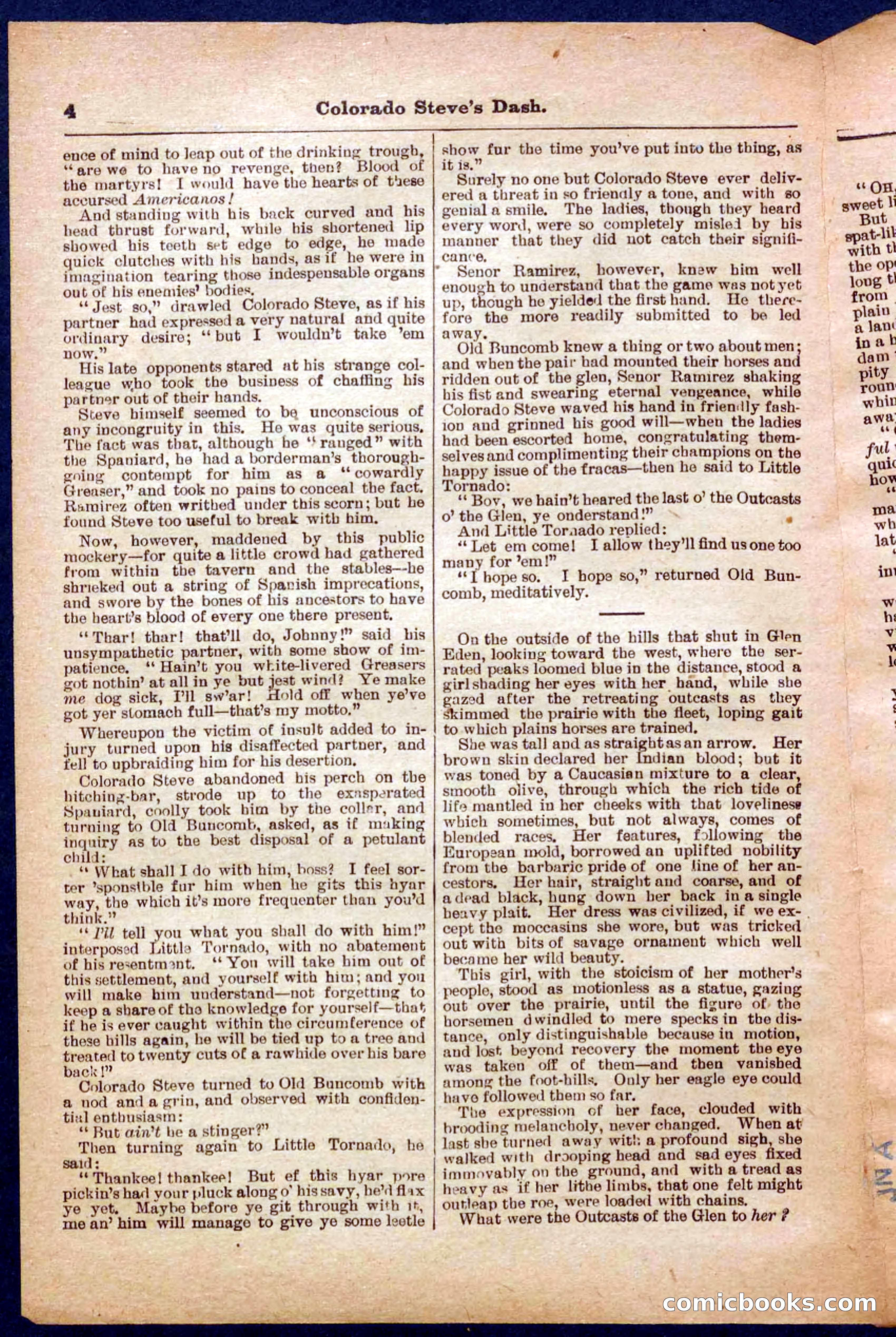 Beadle's Pocket Library No. 341 — page 4 of 32