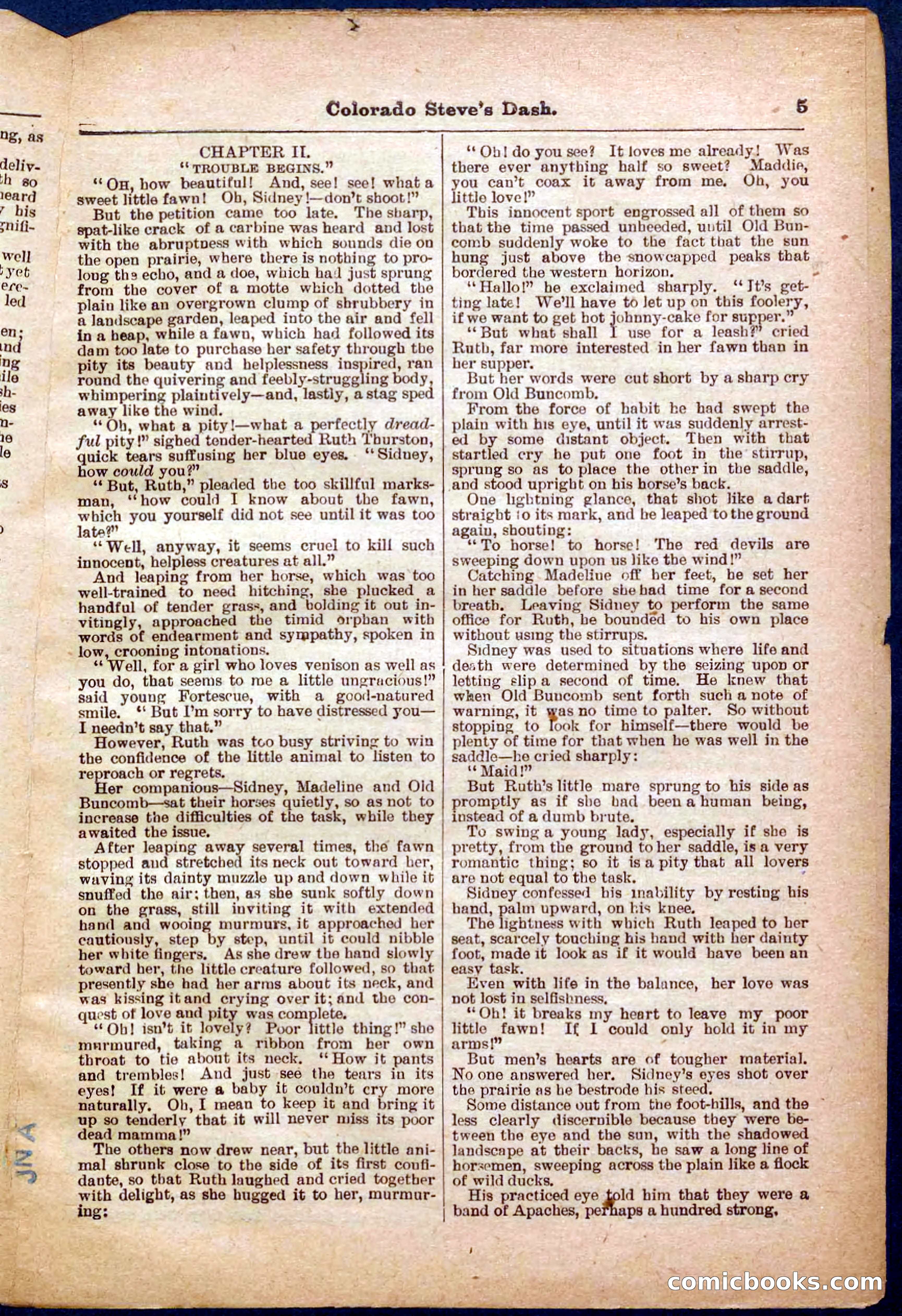 Beadle's Pocket Library No. 341 — page 5 of 32