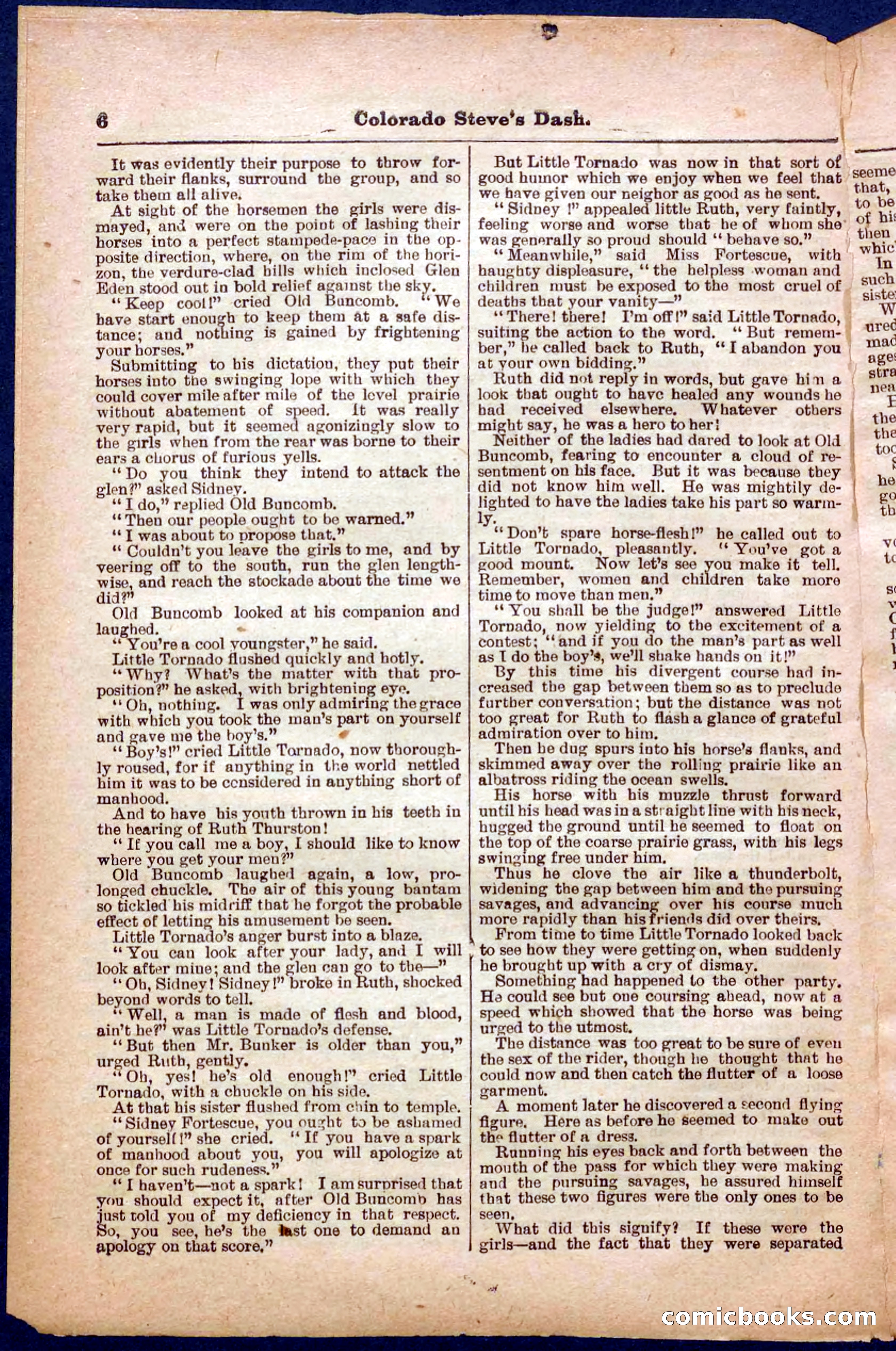 Beadle's Pocket Library No. 341 — page 6 of 32