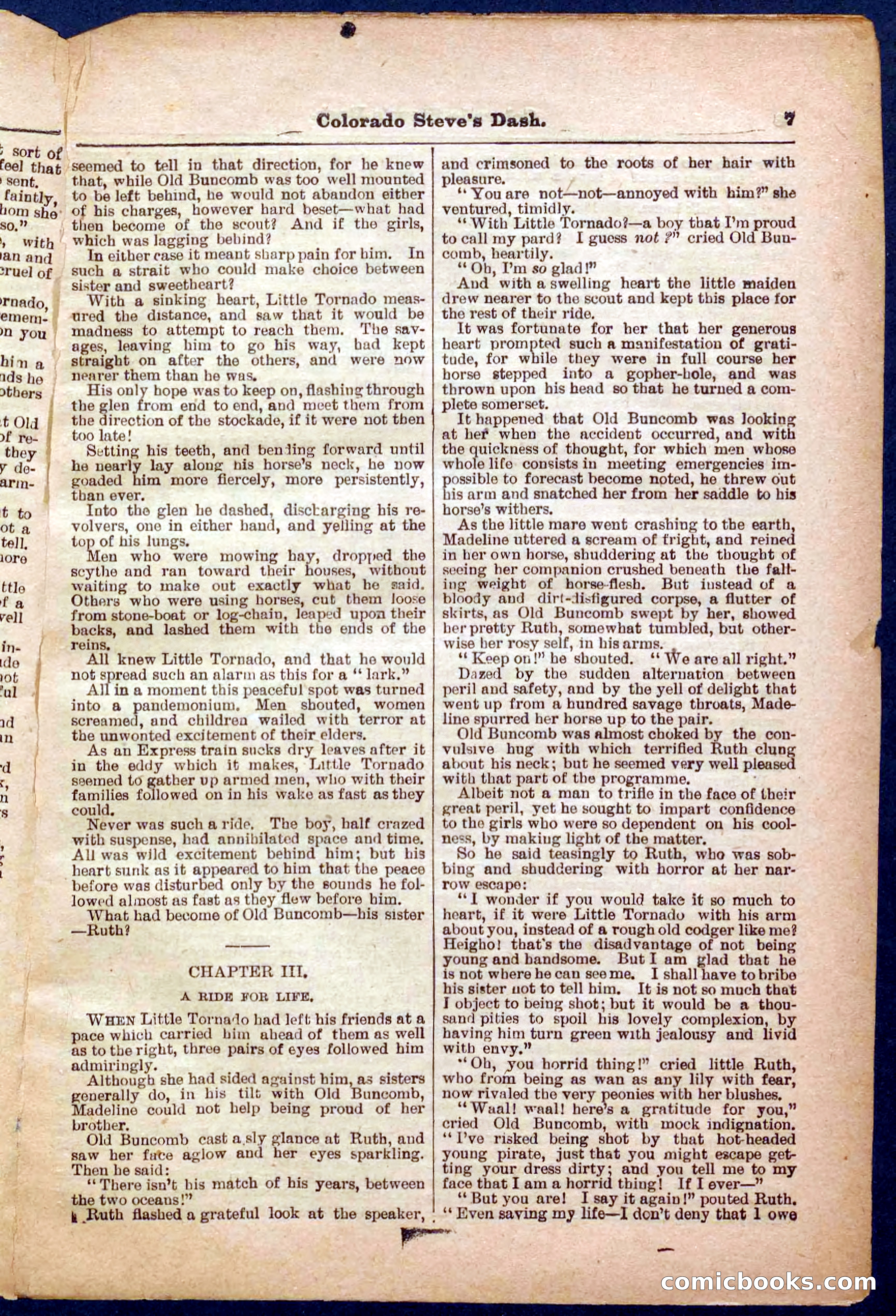 Beadle's Pocket Library No. 341 — page 7 of 32