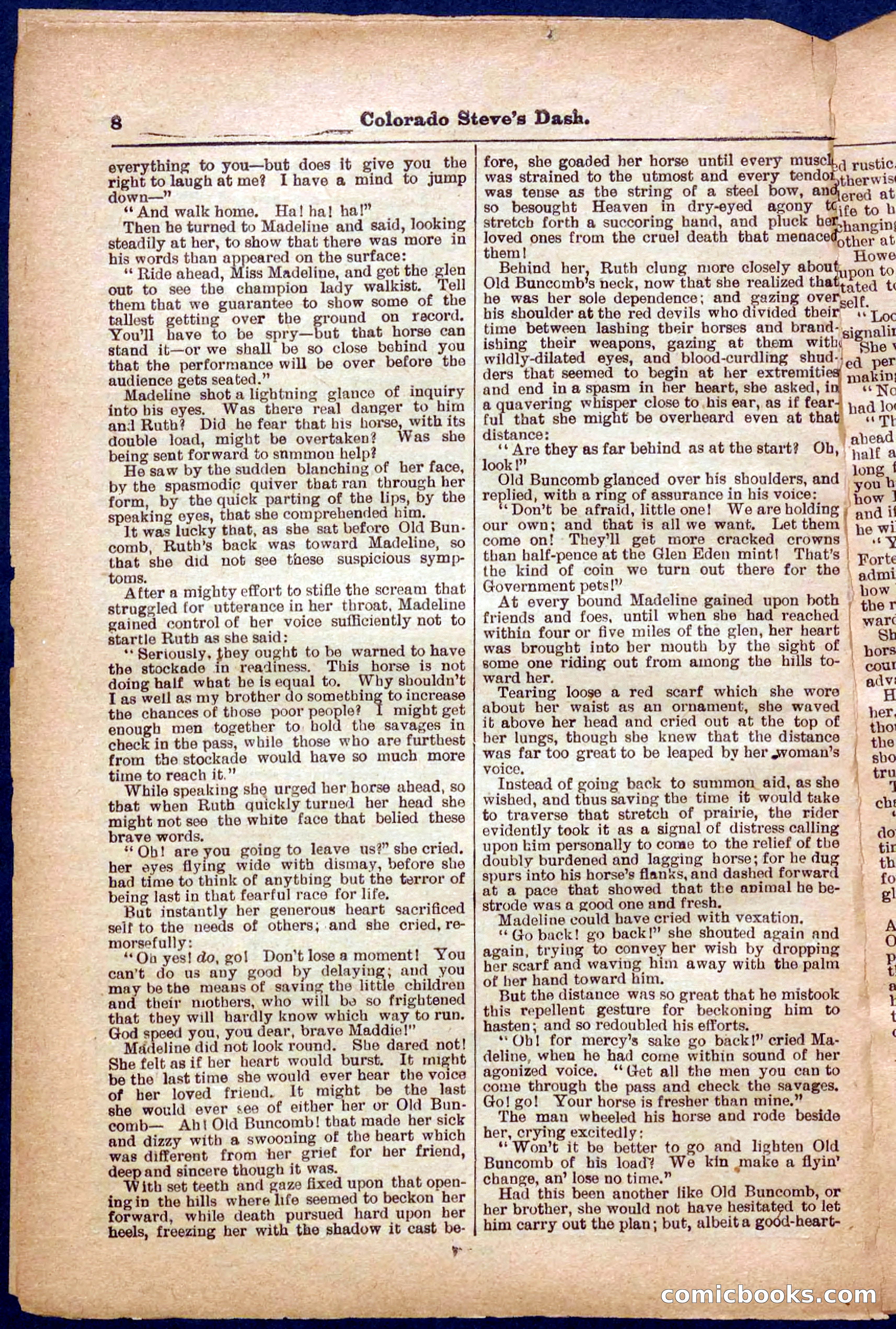 Beadle's Pocket Library No. 341 — page 8 of 32