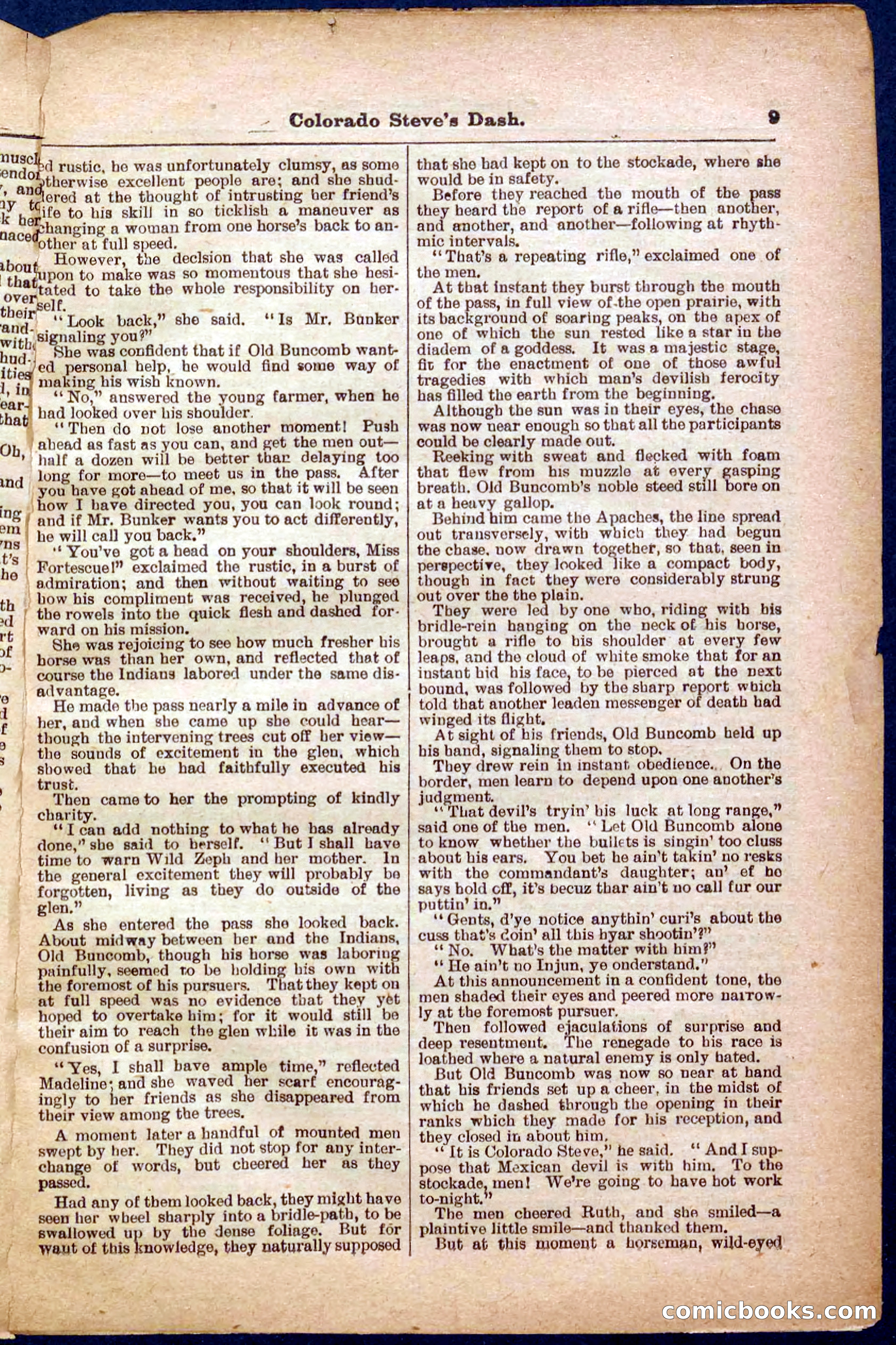 Beadle's Pocket Library No. 341 — page 9 of 32