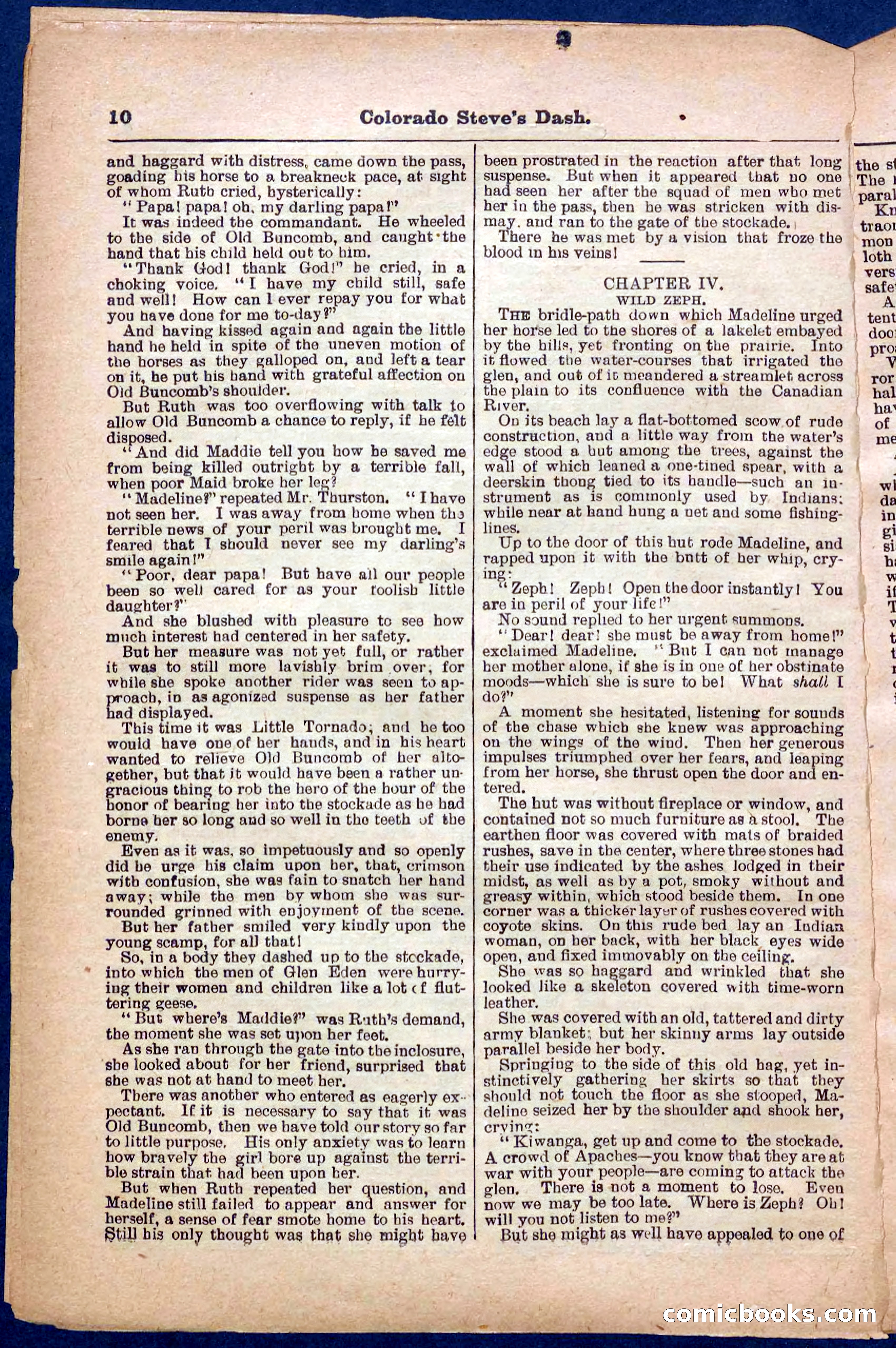 Beadle's Pocket Library No. 341 — page 10 of 32