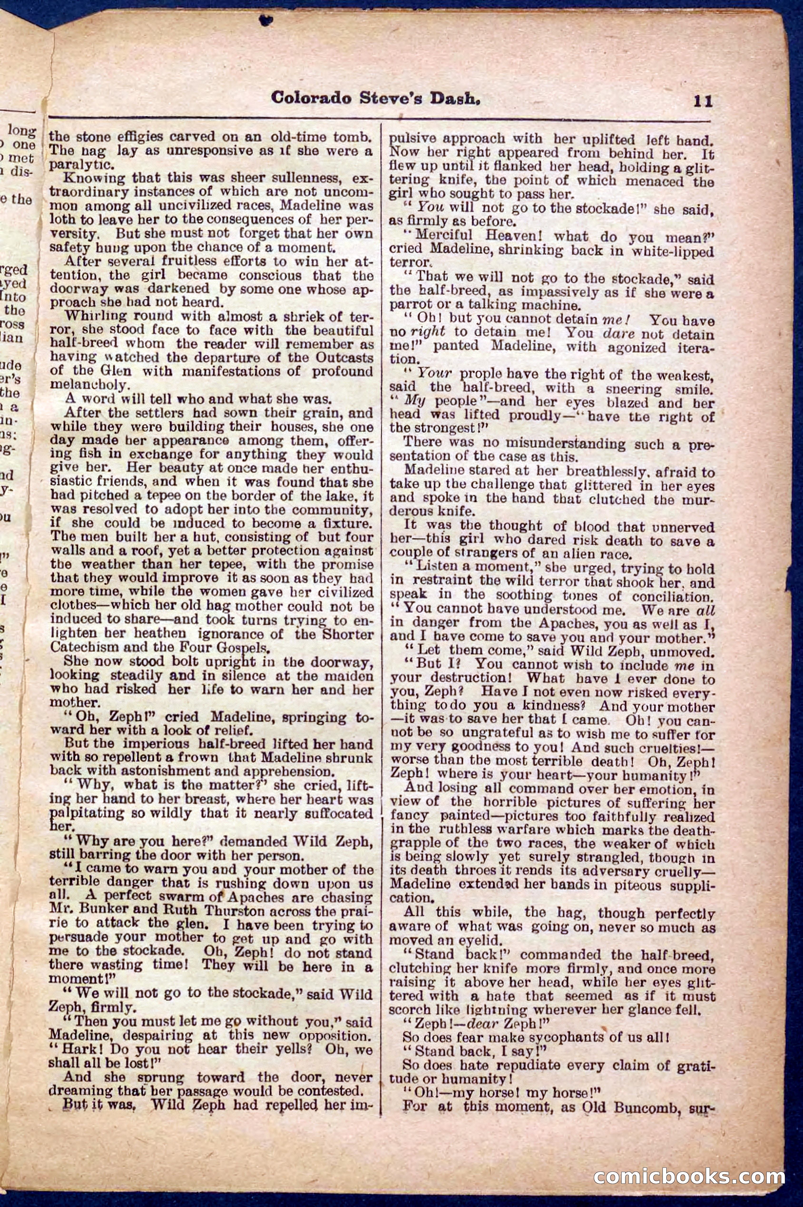 Beadle's Pocket Library No. 341 — page 11 of 32