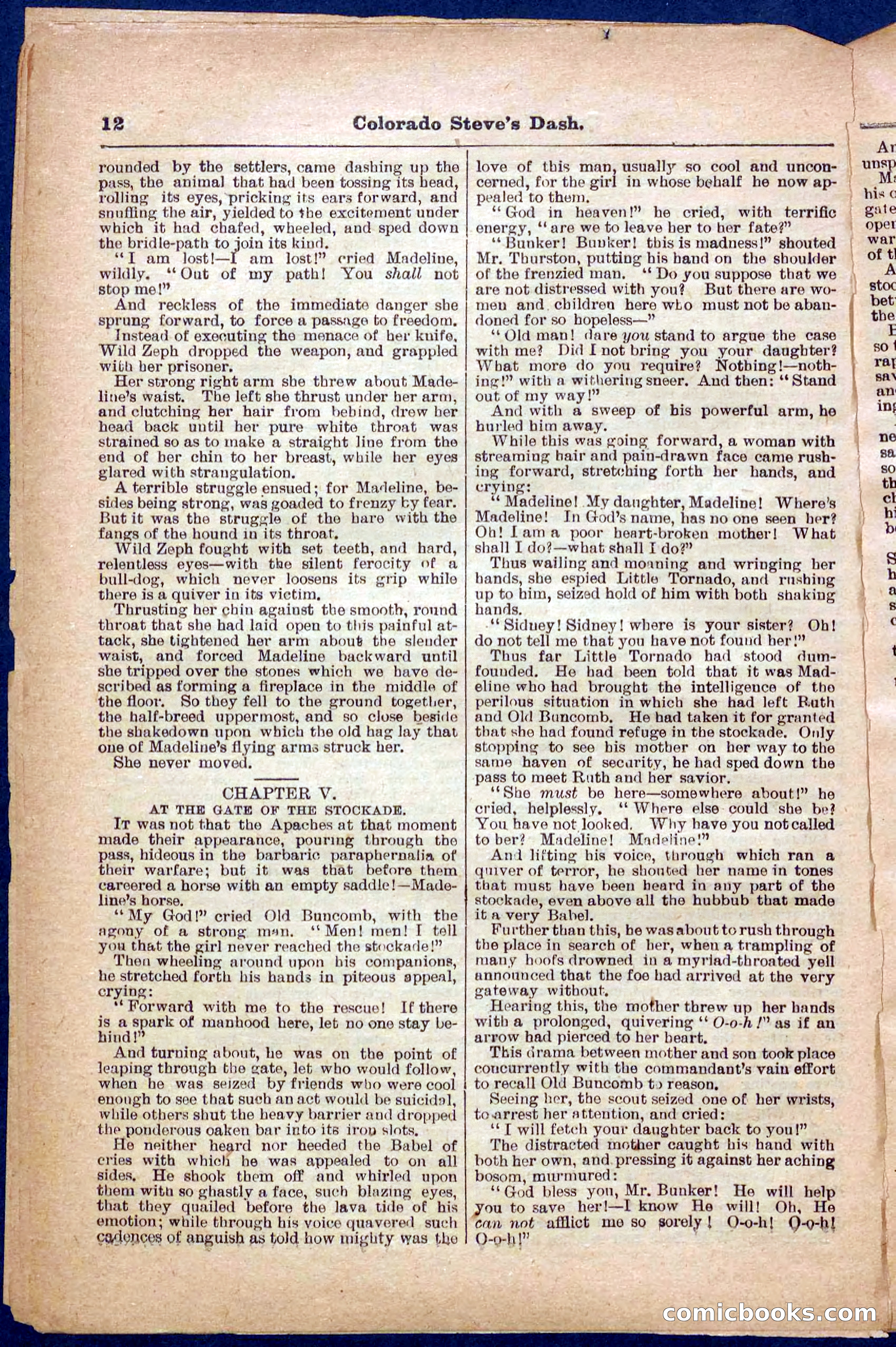 Beadle's Pocket Library No. 341 — page 12 of 32