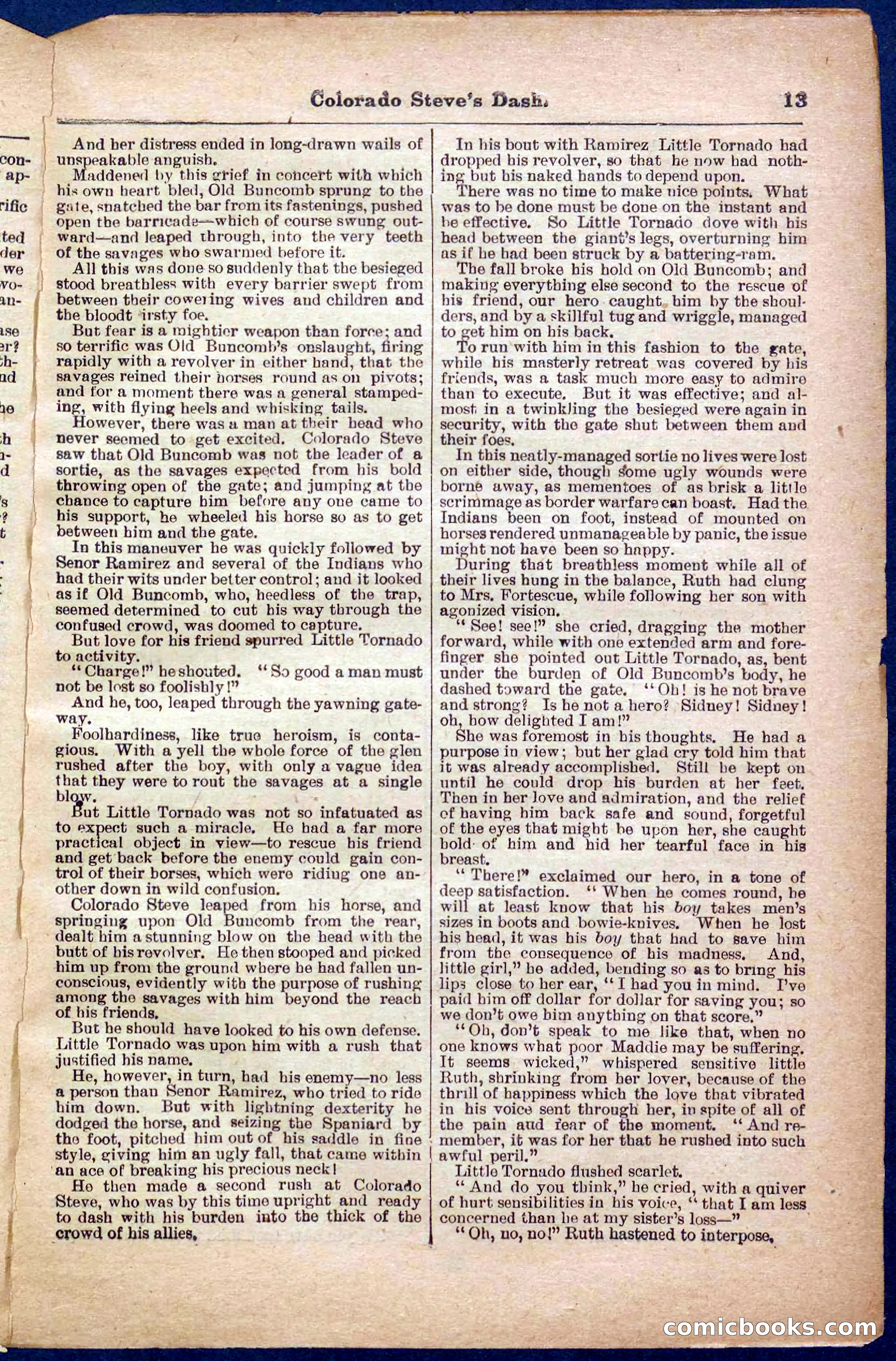 Beadle's Pocket Library No. 341 — page 13 of 32