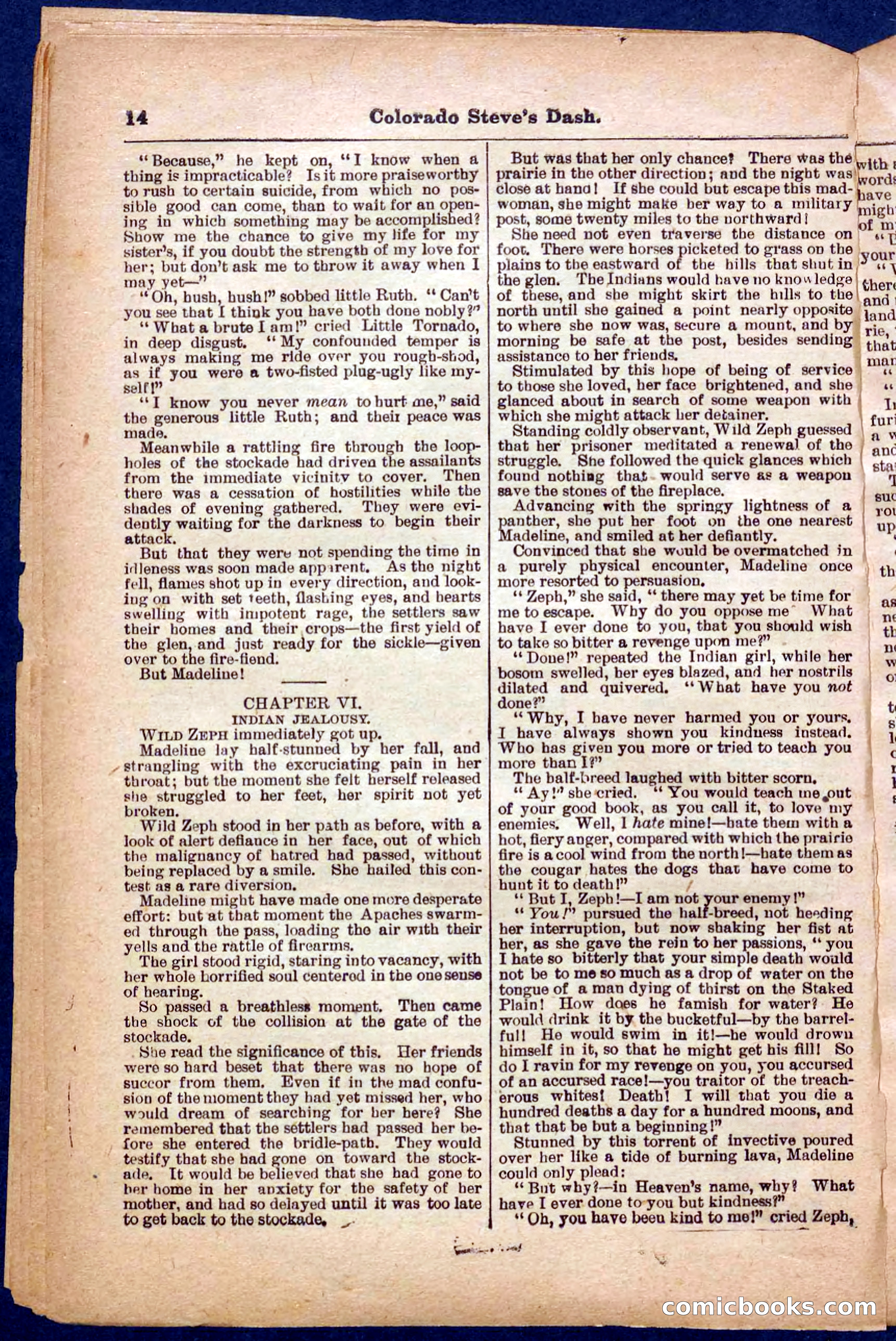 Beadle's Pocket Library No. 341 — page 14 of 32