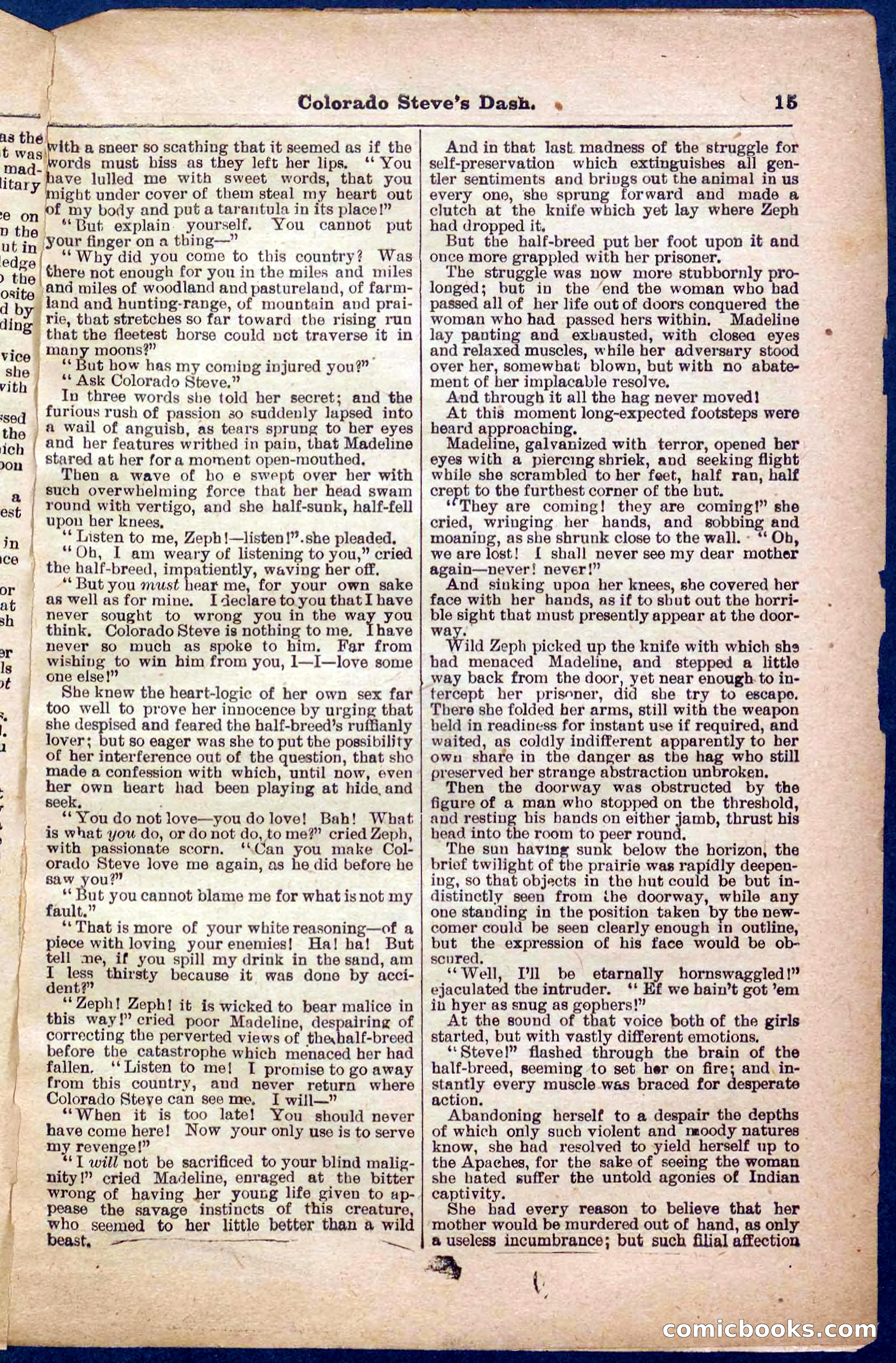 Beadle's Pocket Library No. 341 — page 15 of 32