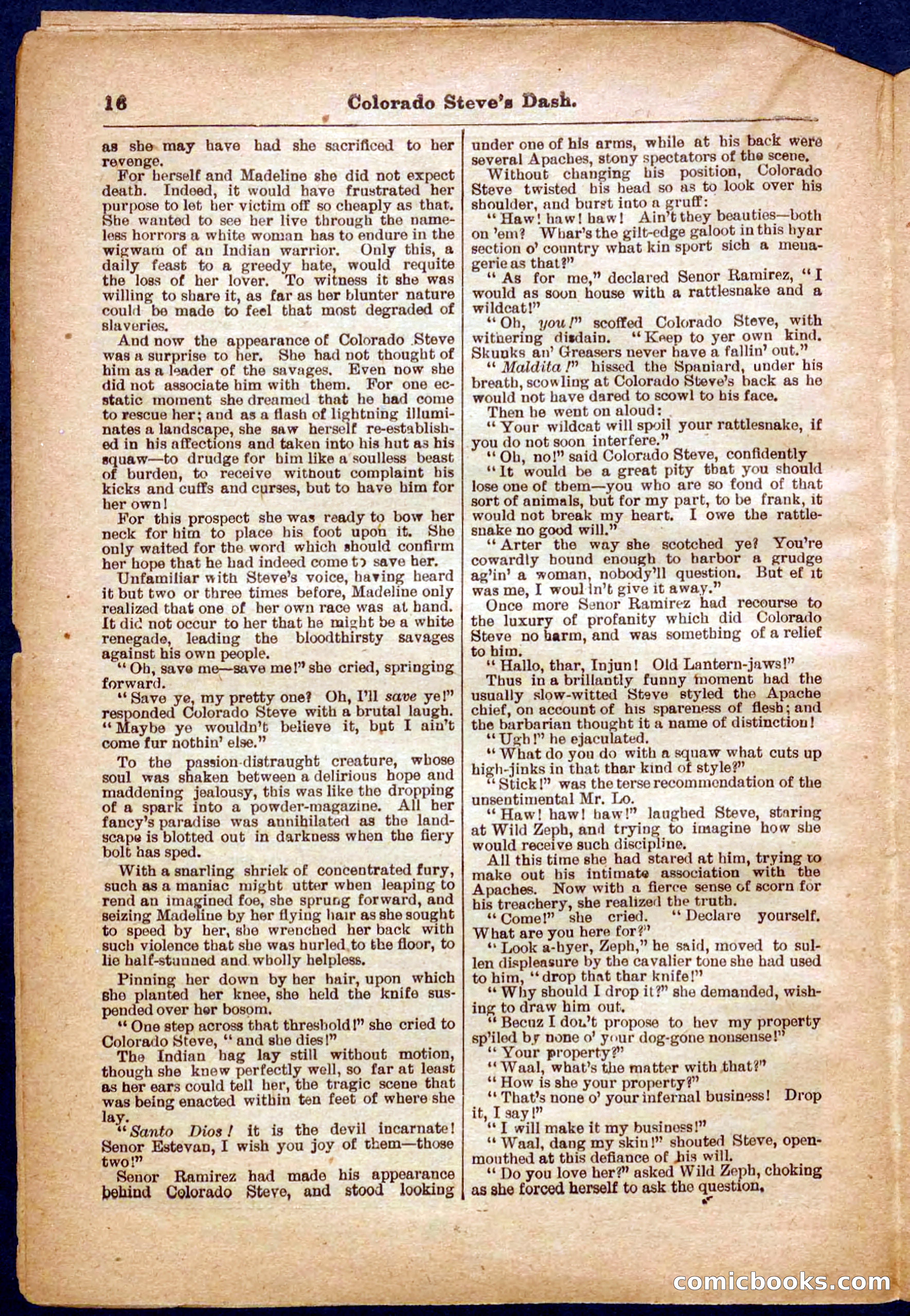 Beadle's Pocket Library No. 341 — page 16 of 32