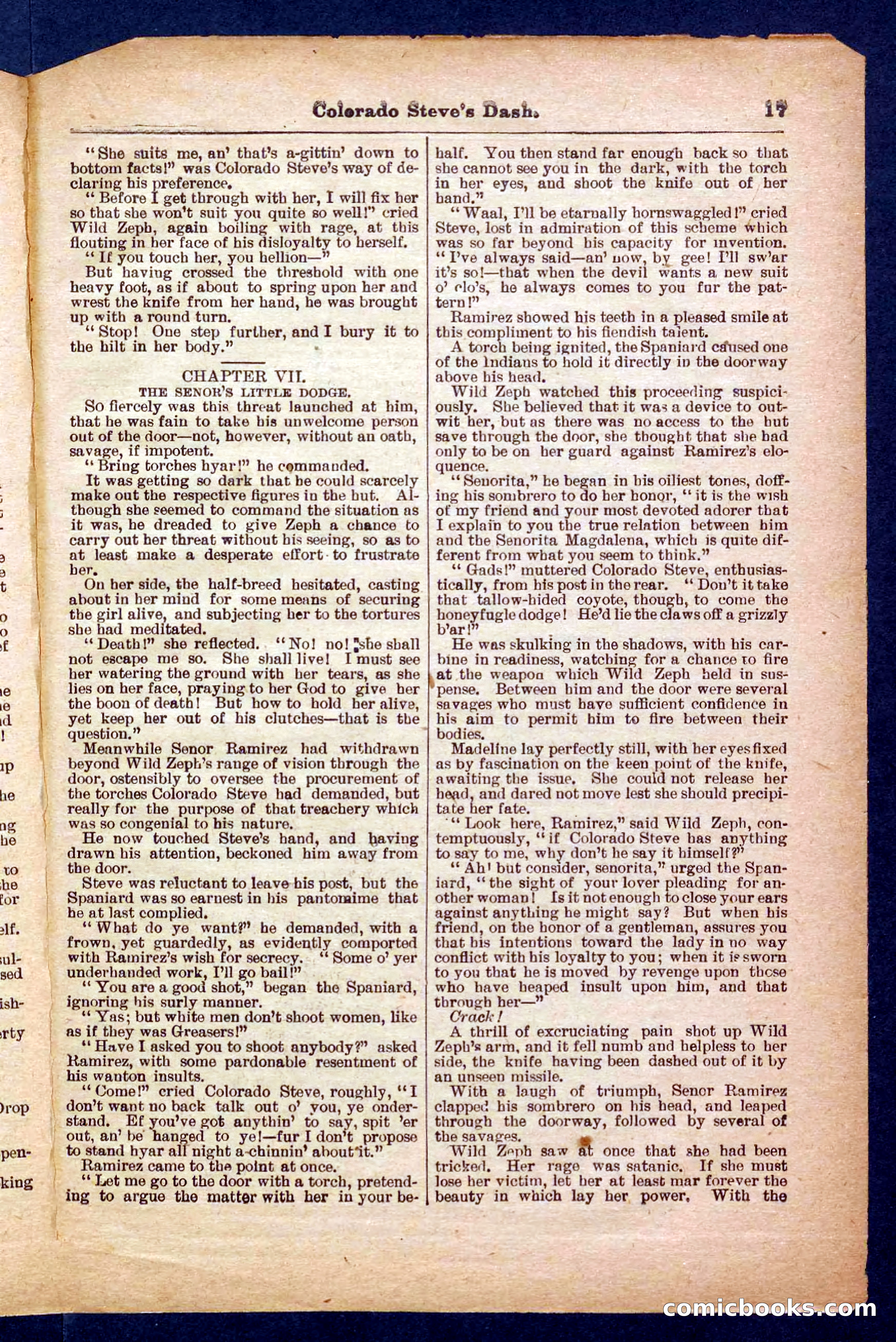 Beadle's Pocket Library No. 341 — page 17 of 32