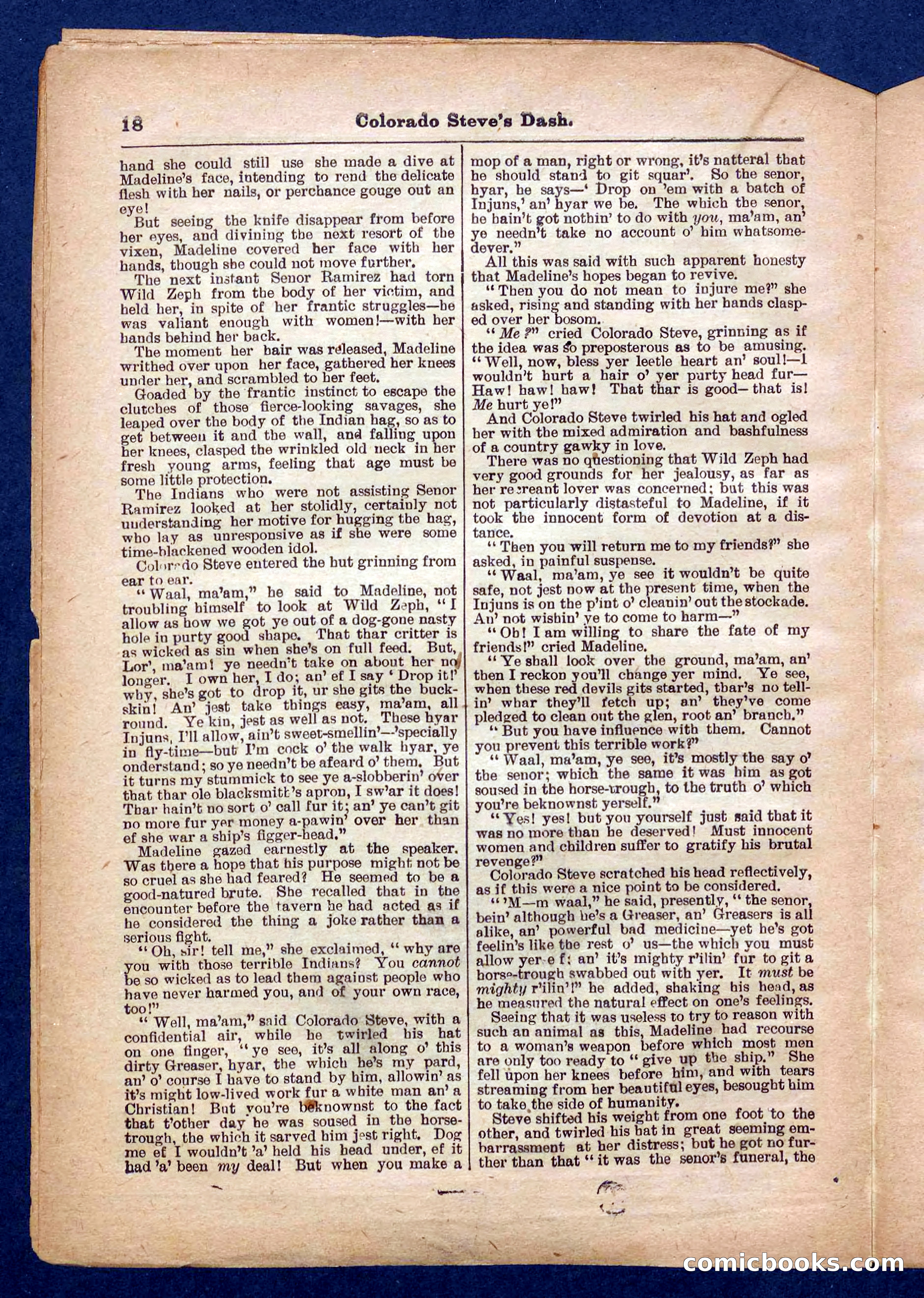Beadle's Pocket Library No. 341 — page 18 of 32