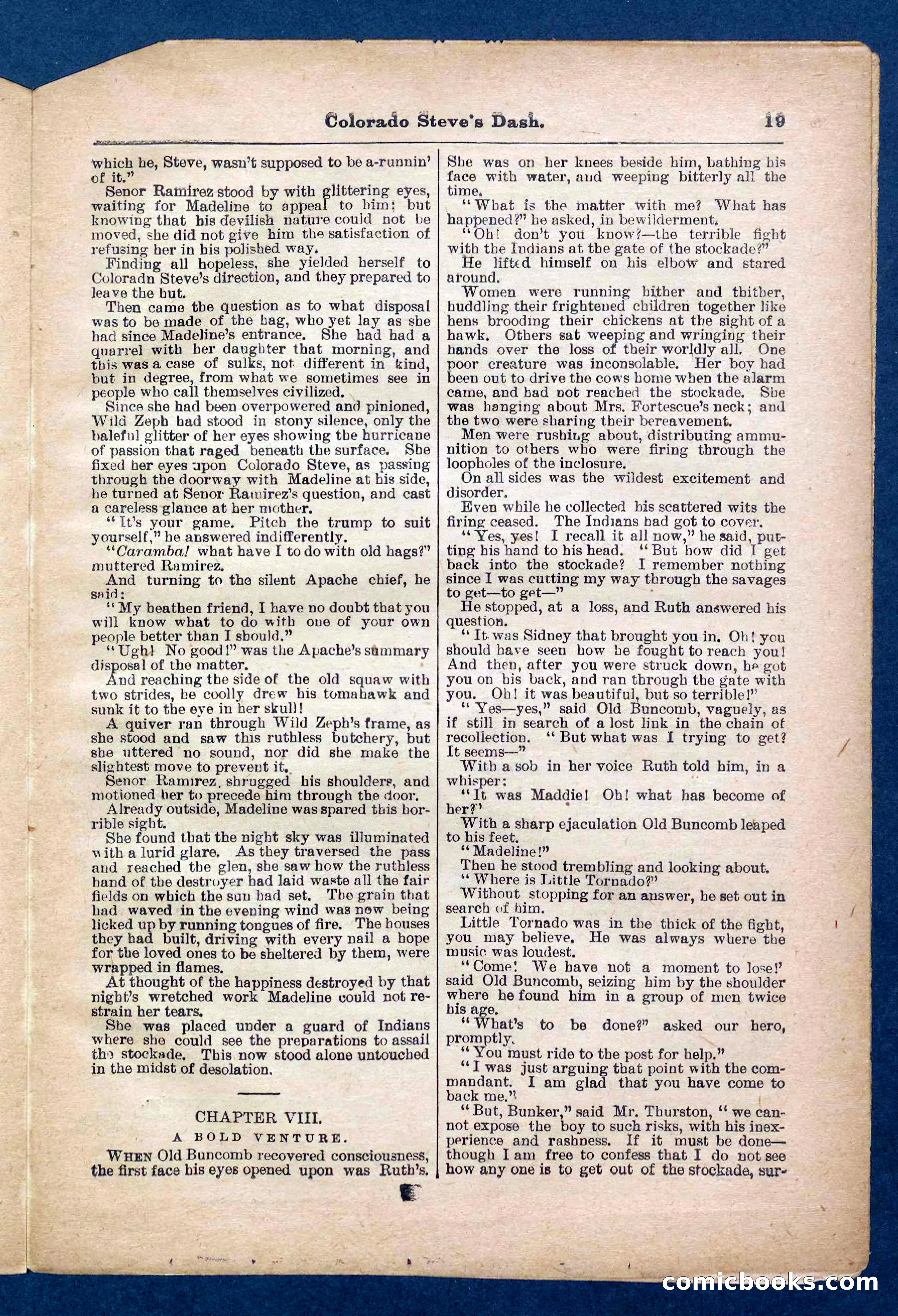 Beadle's Pocket Library No. 341 — page 19 of 32