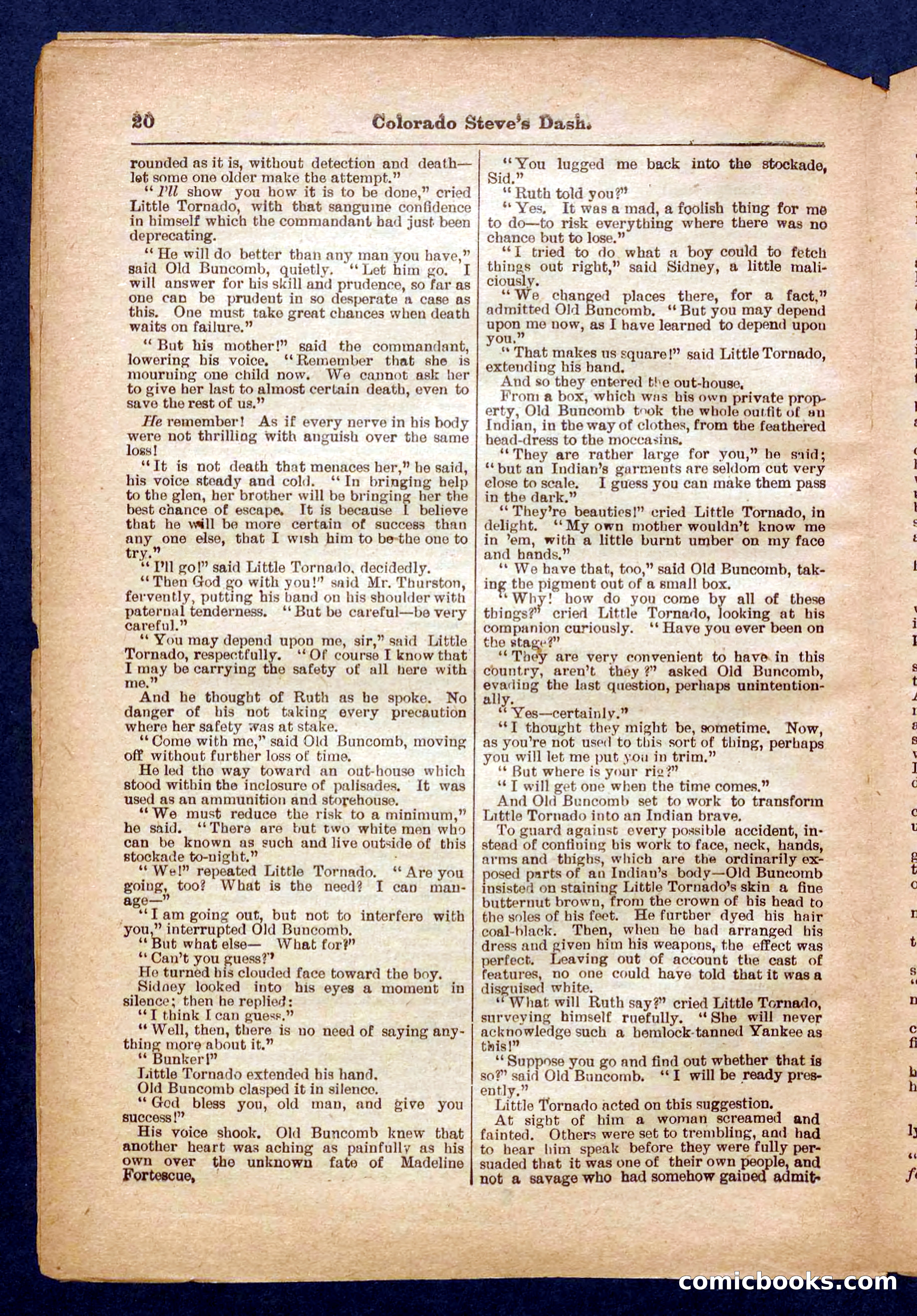 Beadle's Pocket Library No. 341 — page 20 of 32