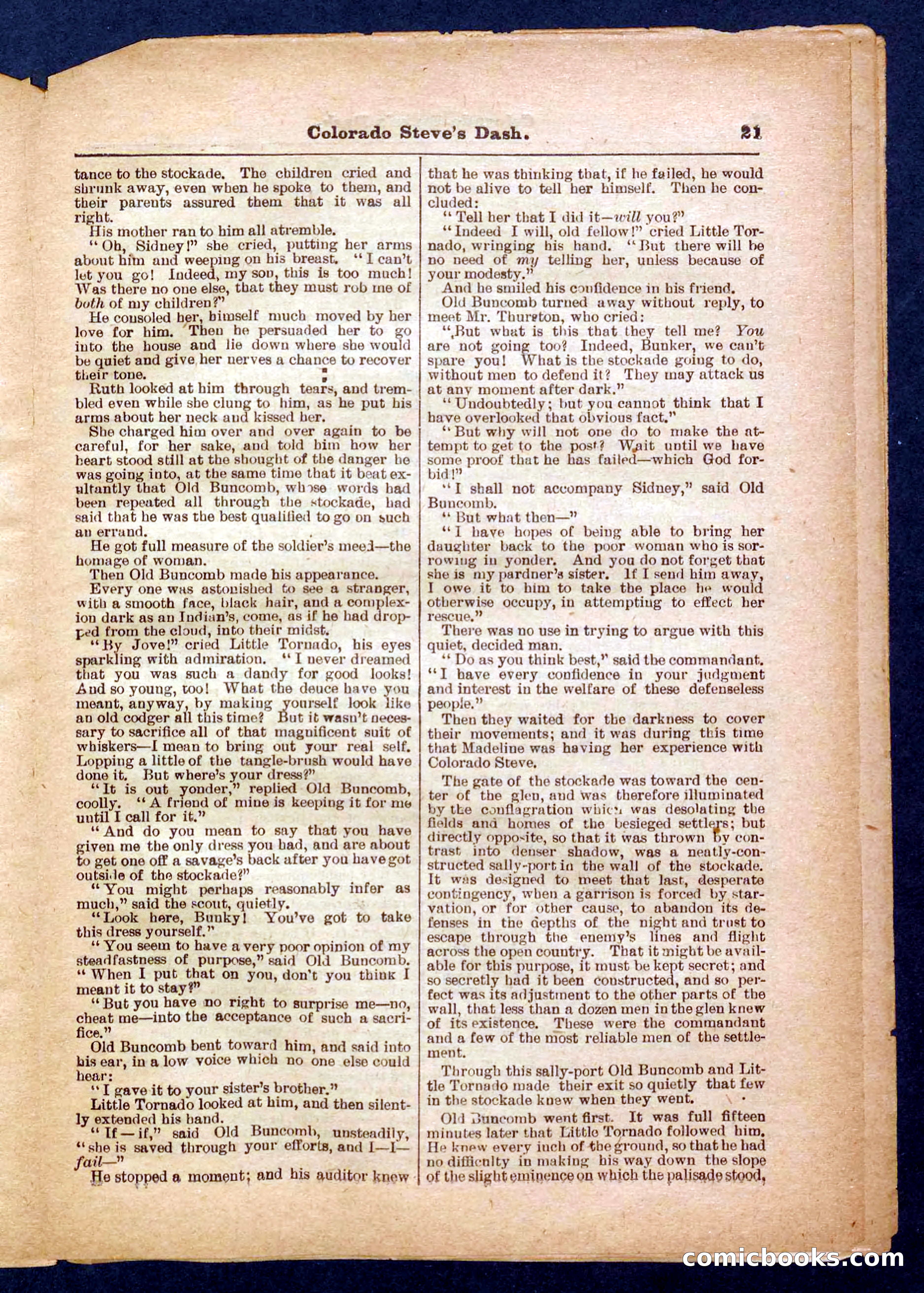 Beadle's Pocket Library No. 341 — page 21 of 32