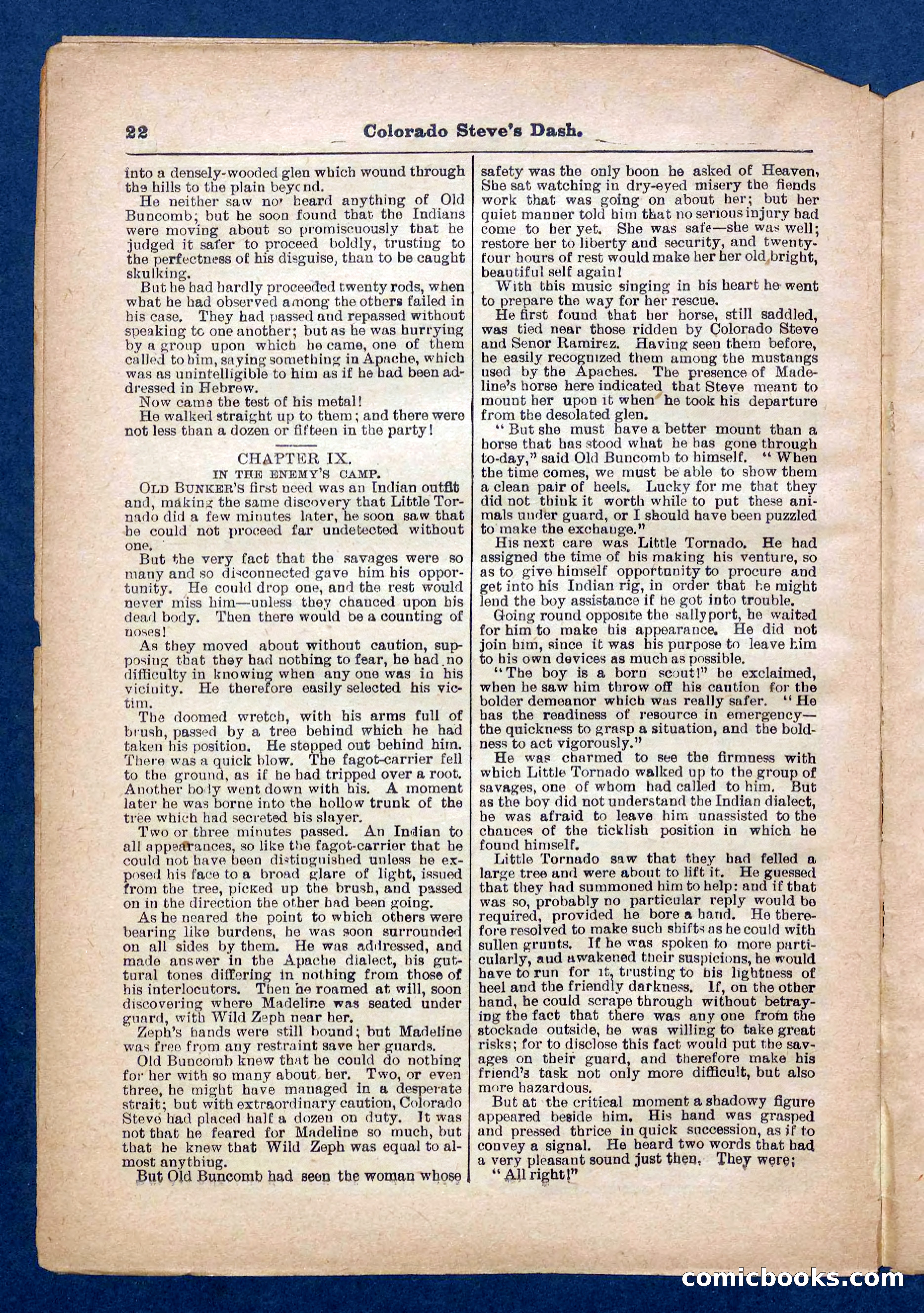Beadle's Pocket Library No. 341 — page 22 of 32