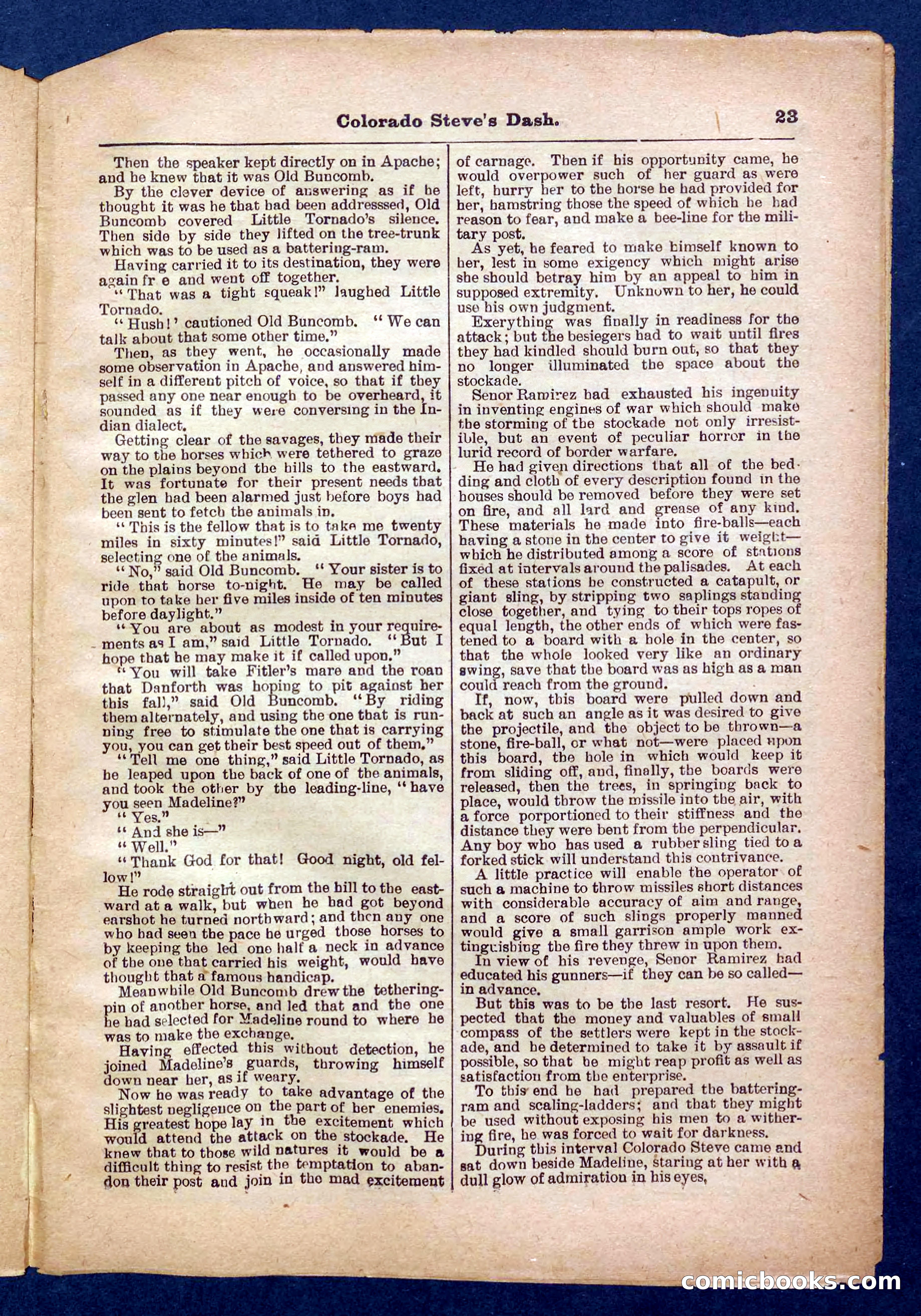 Beadle's Pocket Library No. 341 — page 23 of 32