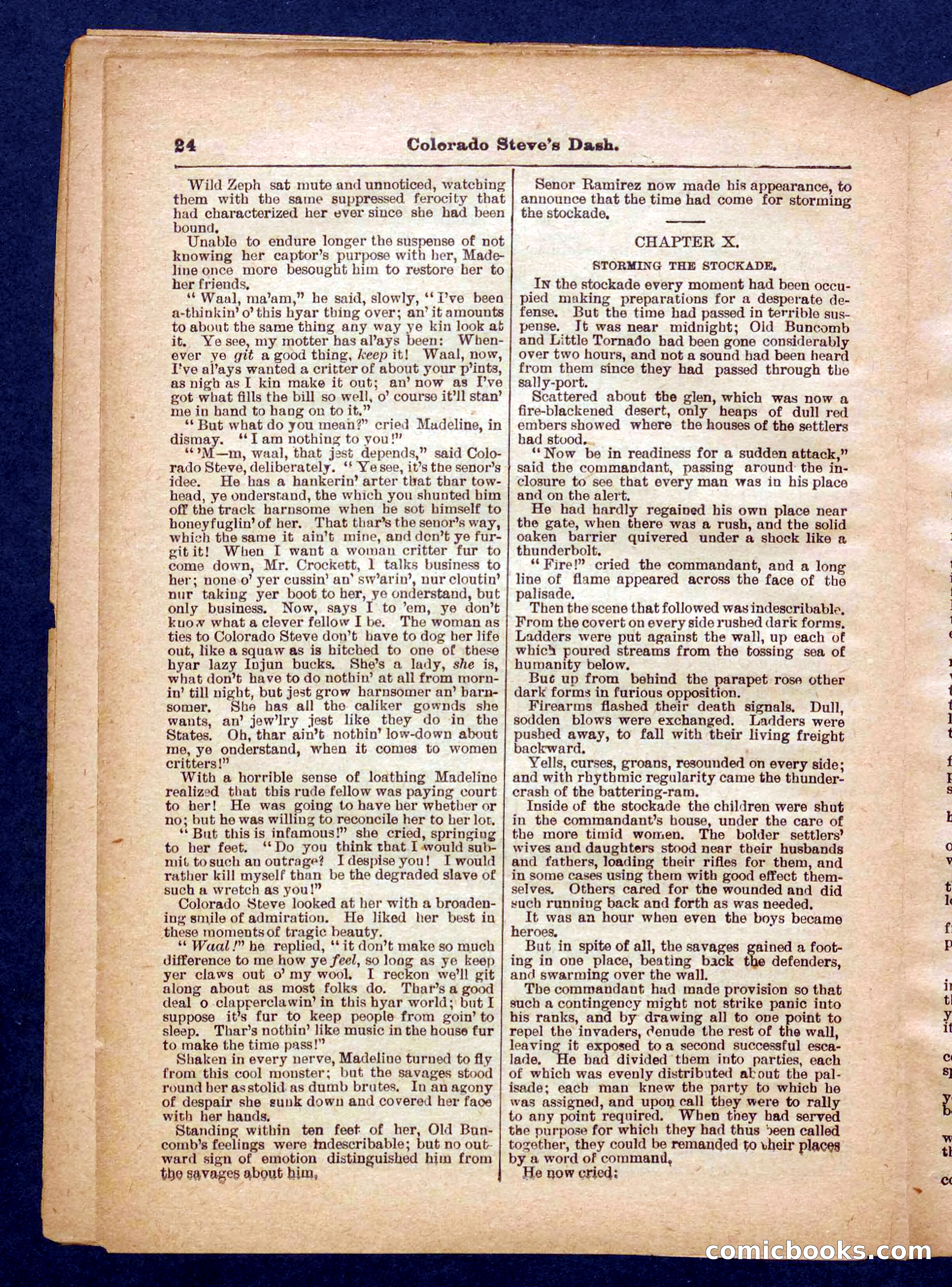 Beadle's Pocket Library No. 341 — page 24 of 32