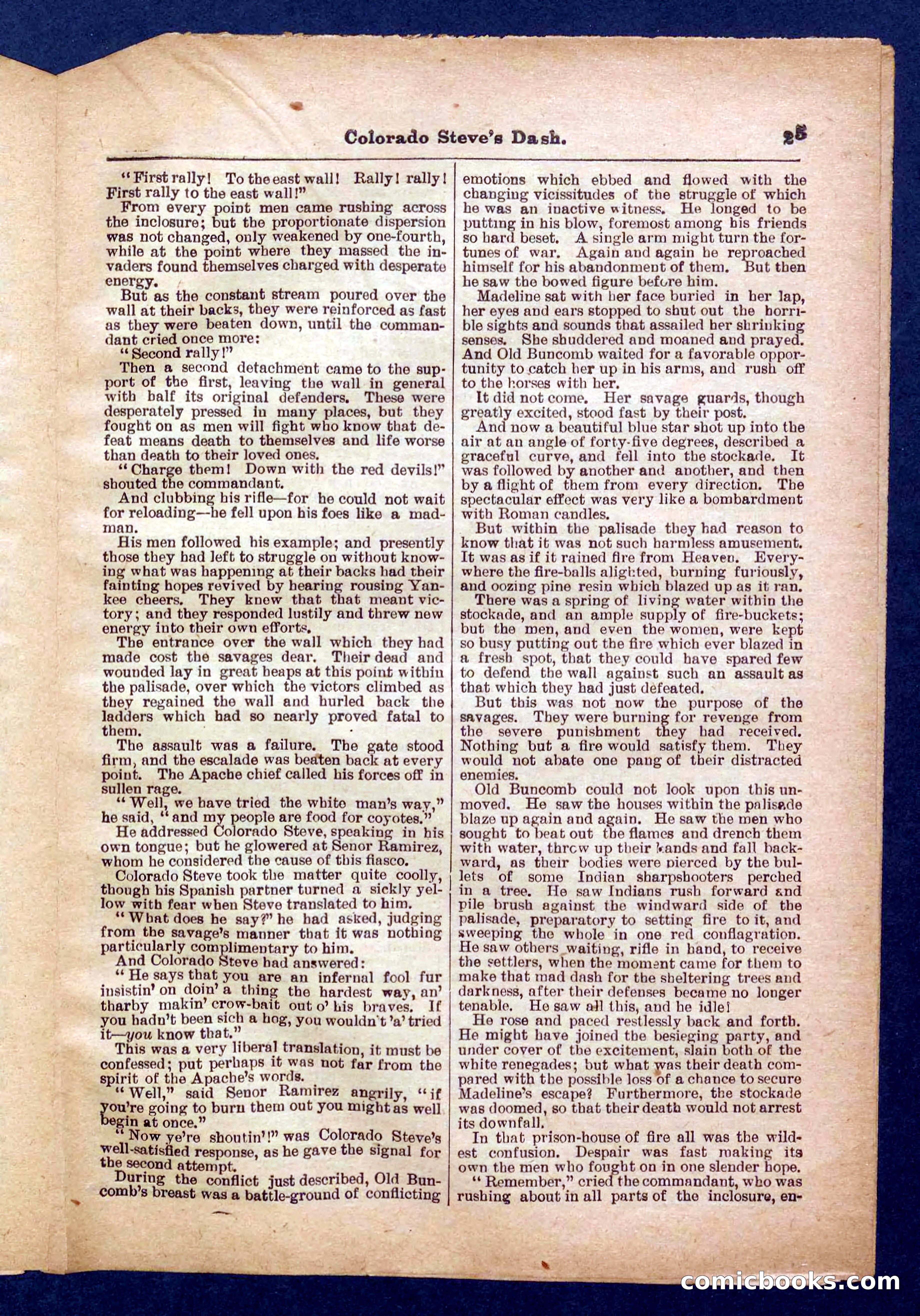 Beadle's Pocket Library No. 341 — page 25 of 32