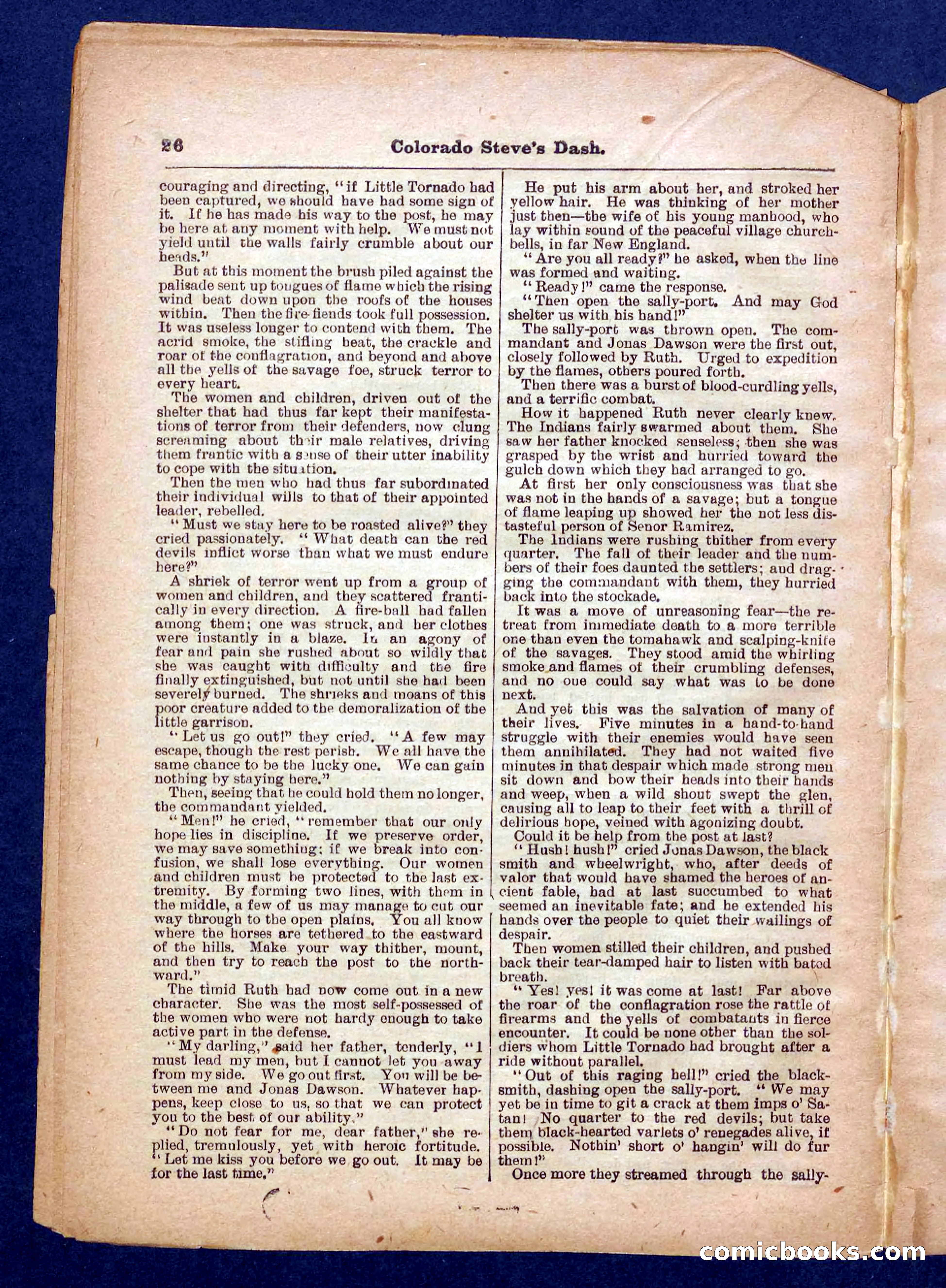 Beadle's Pocket Library No. 341 — page 26 of 32