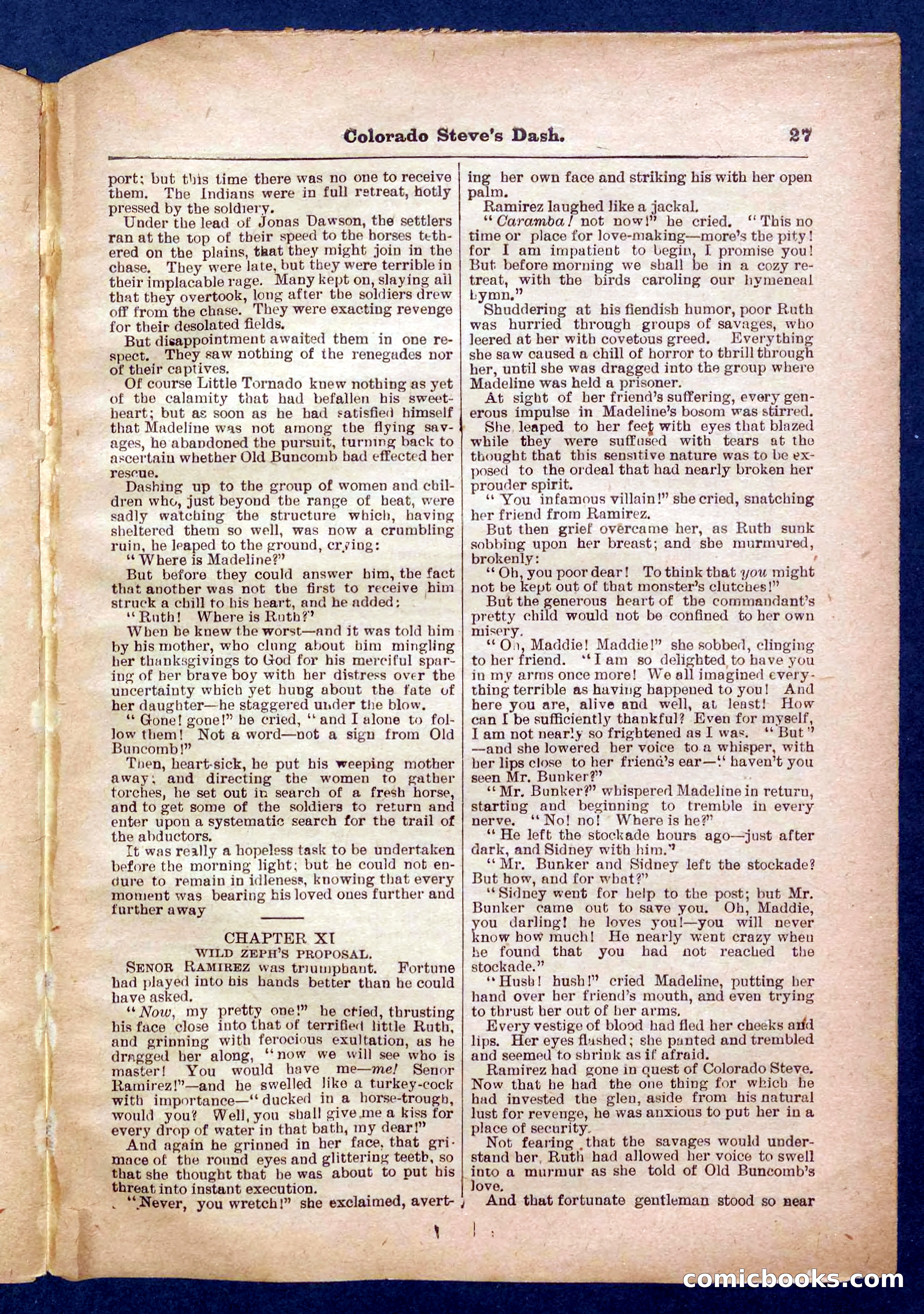 Beadle's Pocket Library No. 341 — page 27 of 32